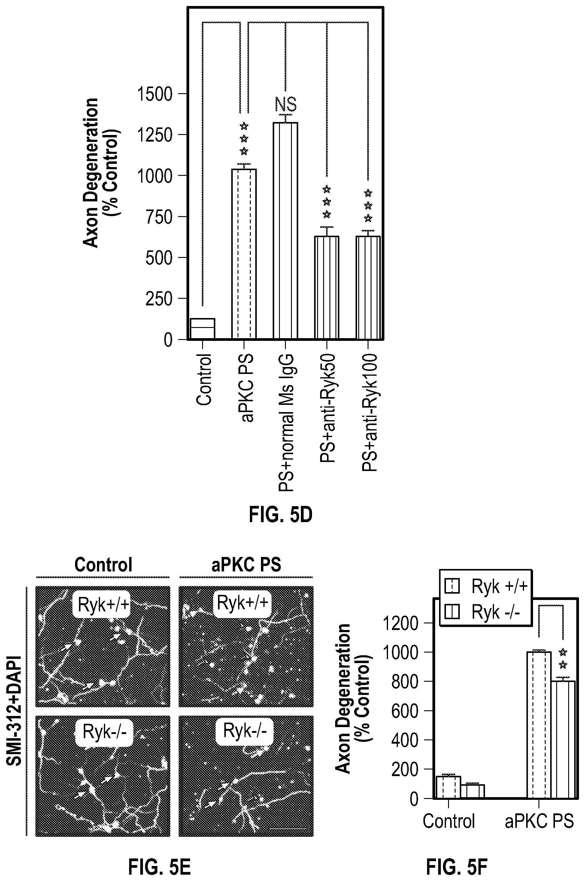 Patent US12134651 Figure 13 – Anti-Ryk antibodies and methods of using the same