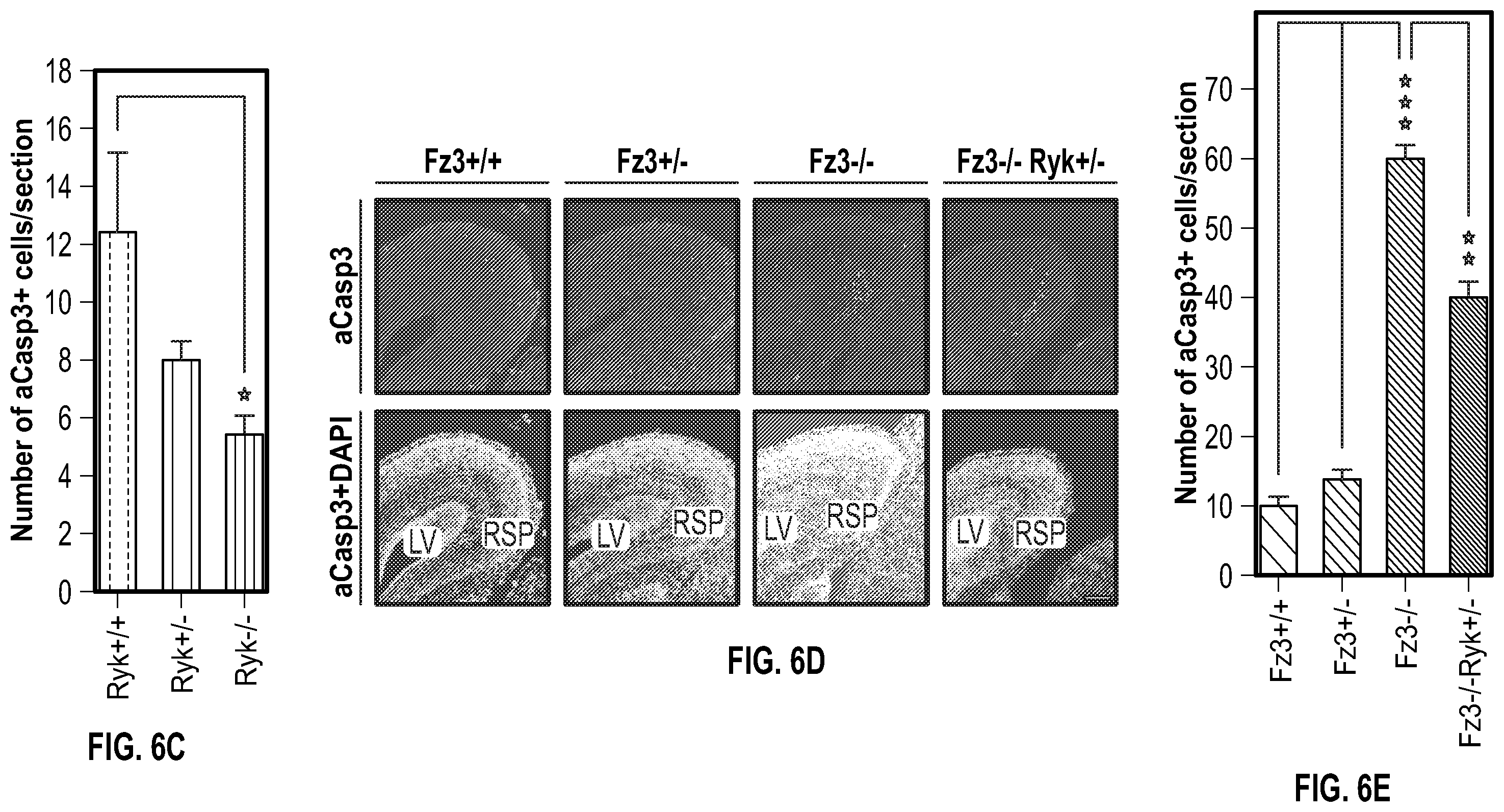 Patent US12134651 Figure 15 – Anti-Ryk antibodies and methods of using the same