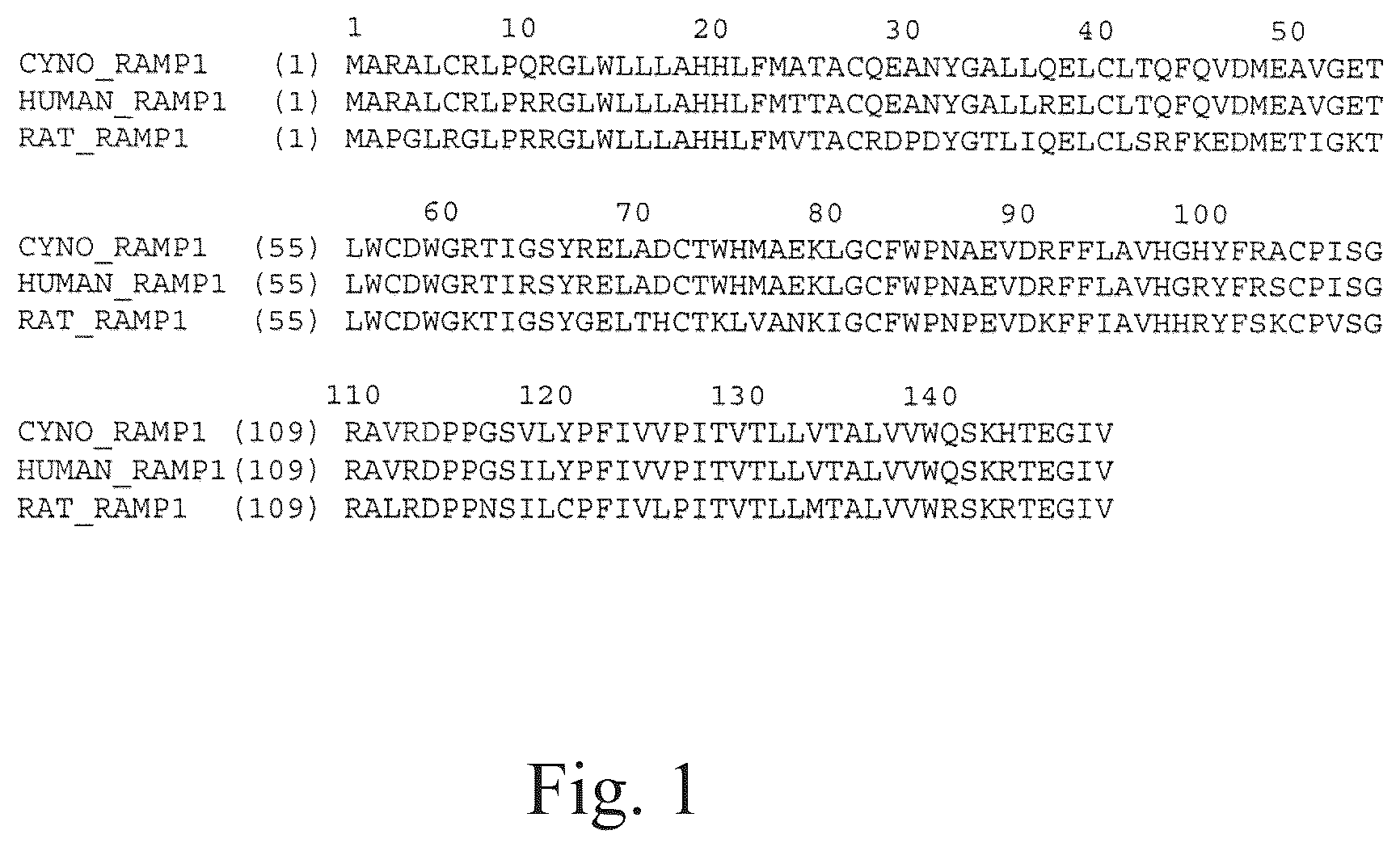 Patent US12134652 — Human CGRP receptor binding proteins — Figure 1