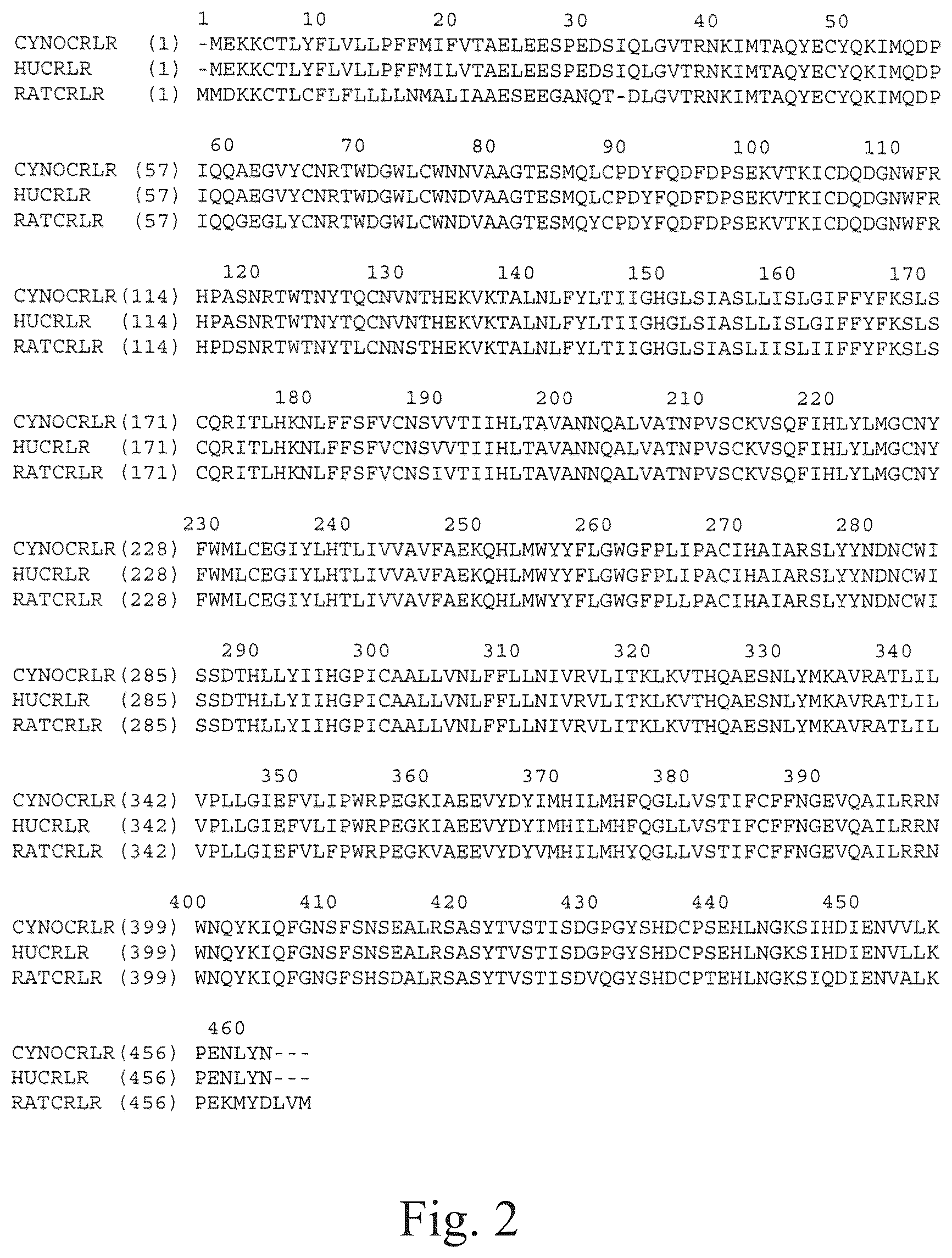 Patent US12134652 Figure 2 – Human CGRP receptor binding proteins