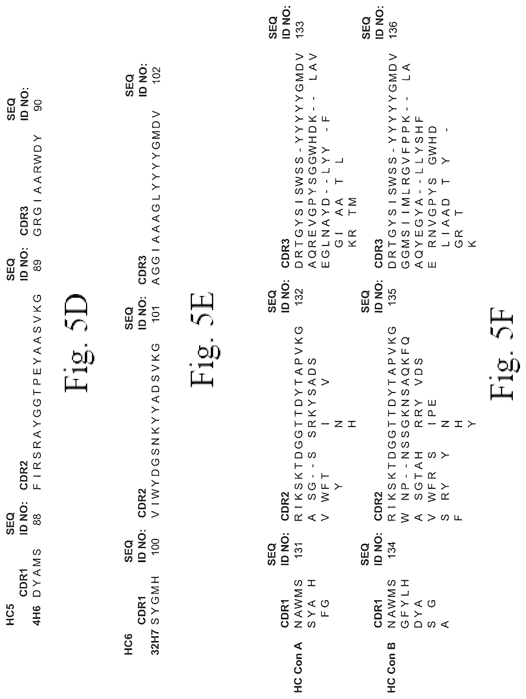 Patent US12134652 Figure 6 – Human CGRP receptor binding proteins