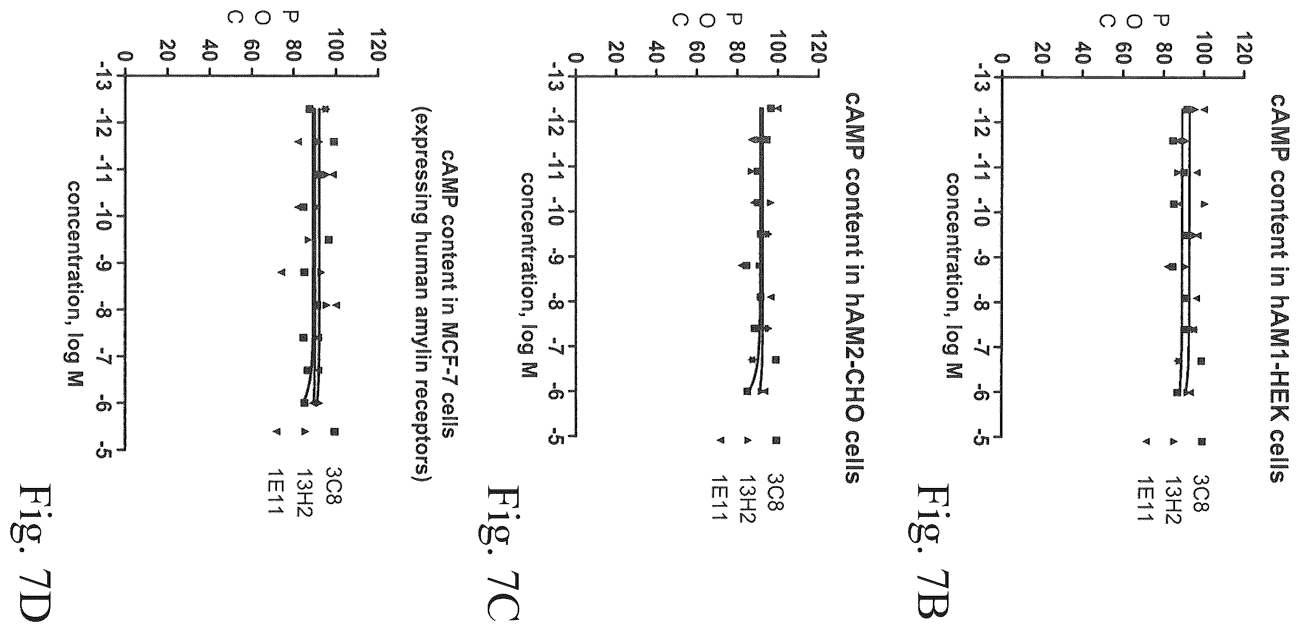 Patent US12134652 Figure 9 – Human CGRP receptor binding proteins