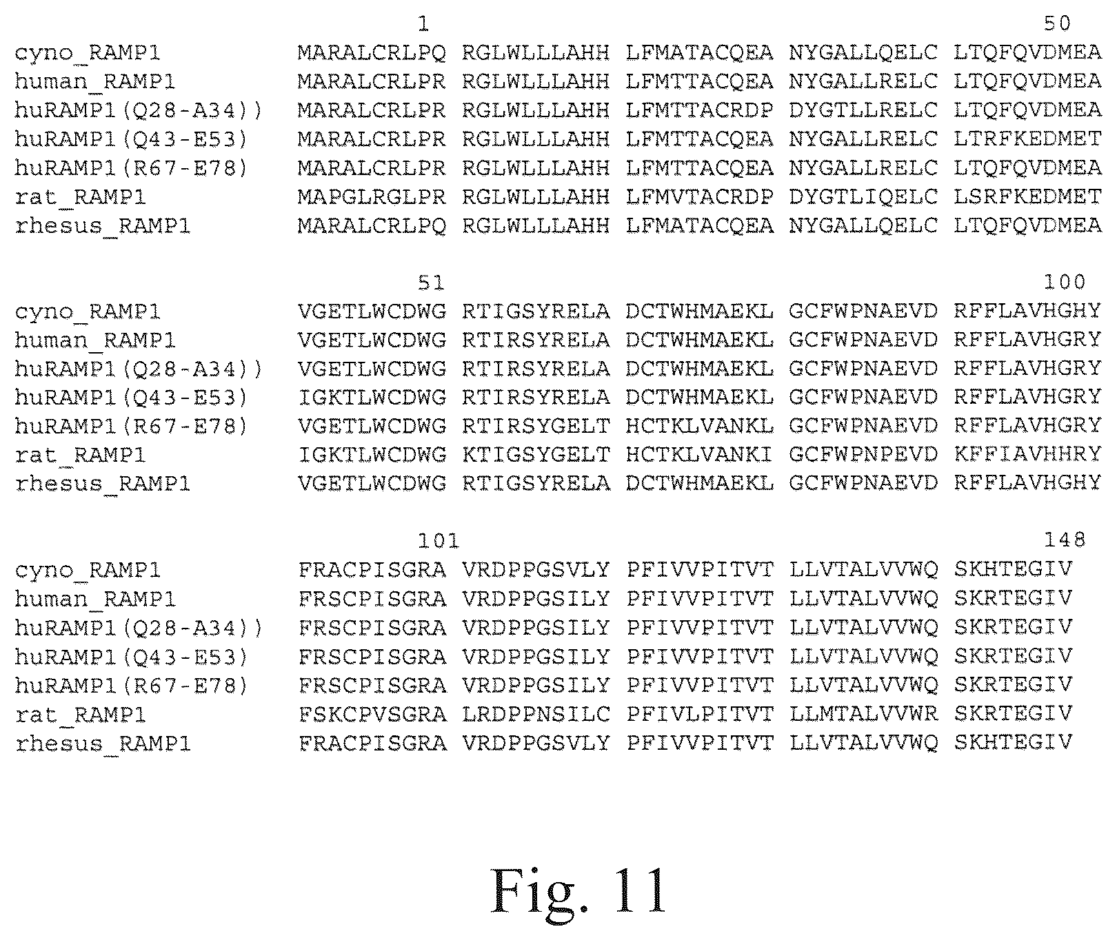 Patent US12134652 Figure 13 – Human CGRP receptor binding proteins
