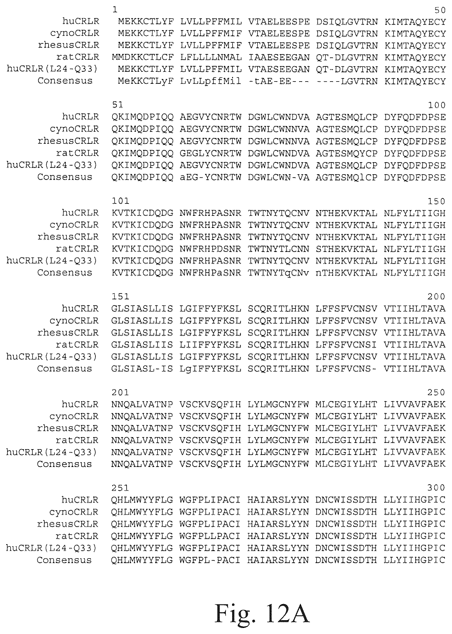 Patent US12134652 Figure 14 – Human CGRP receptor binding proteins