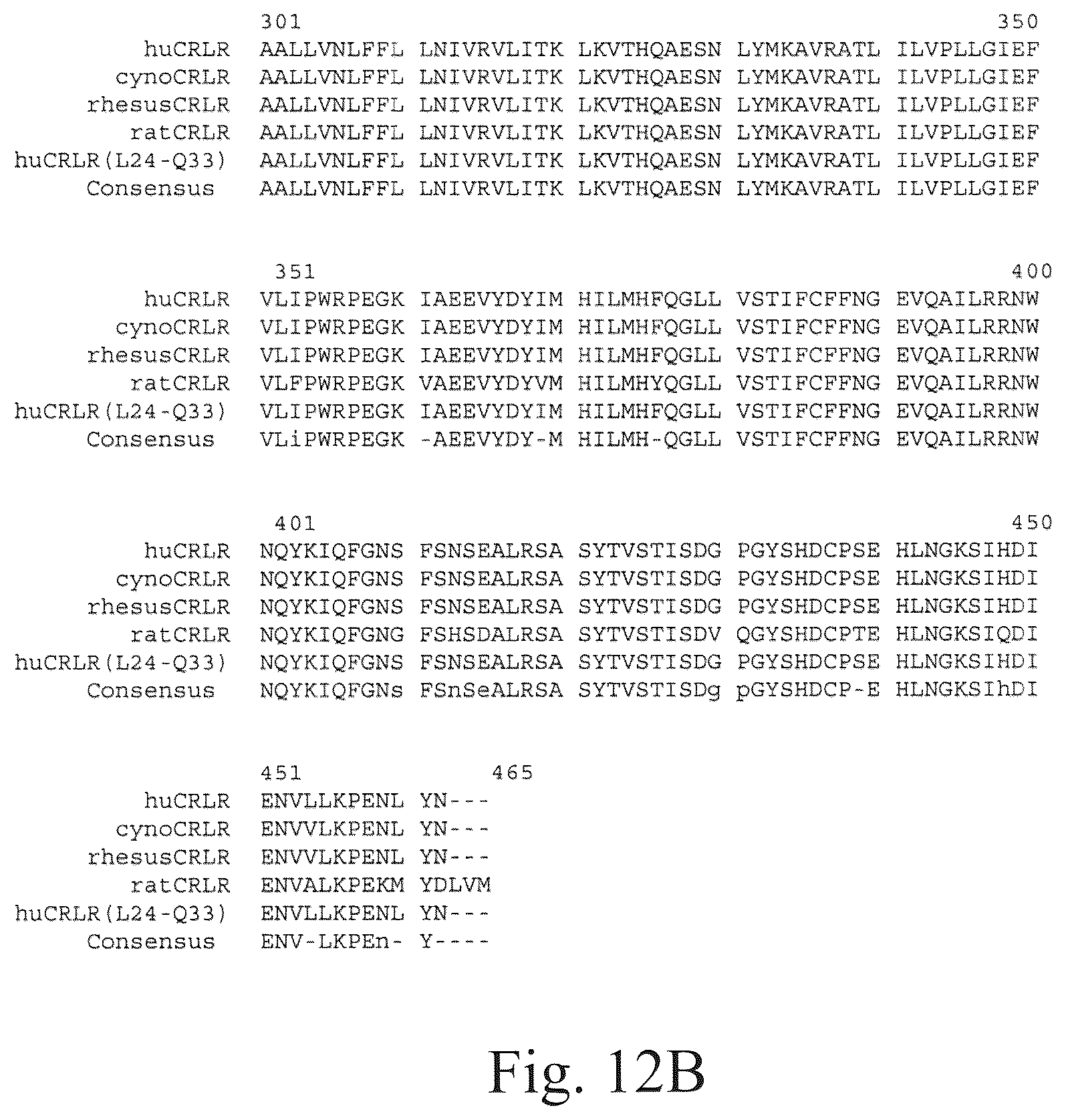 Patent US12134652 Figure 15 – Human CGRP receptor binding proteins