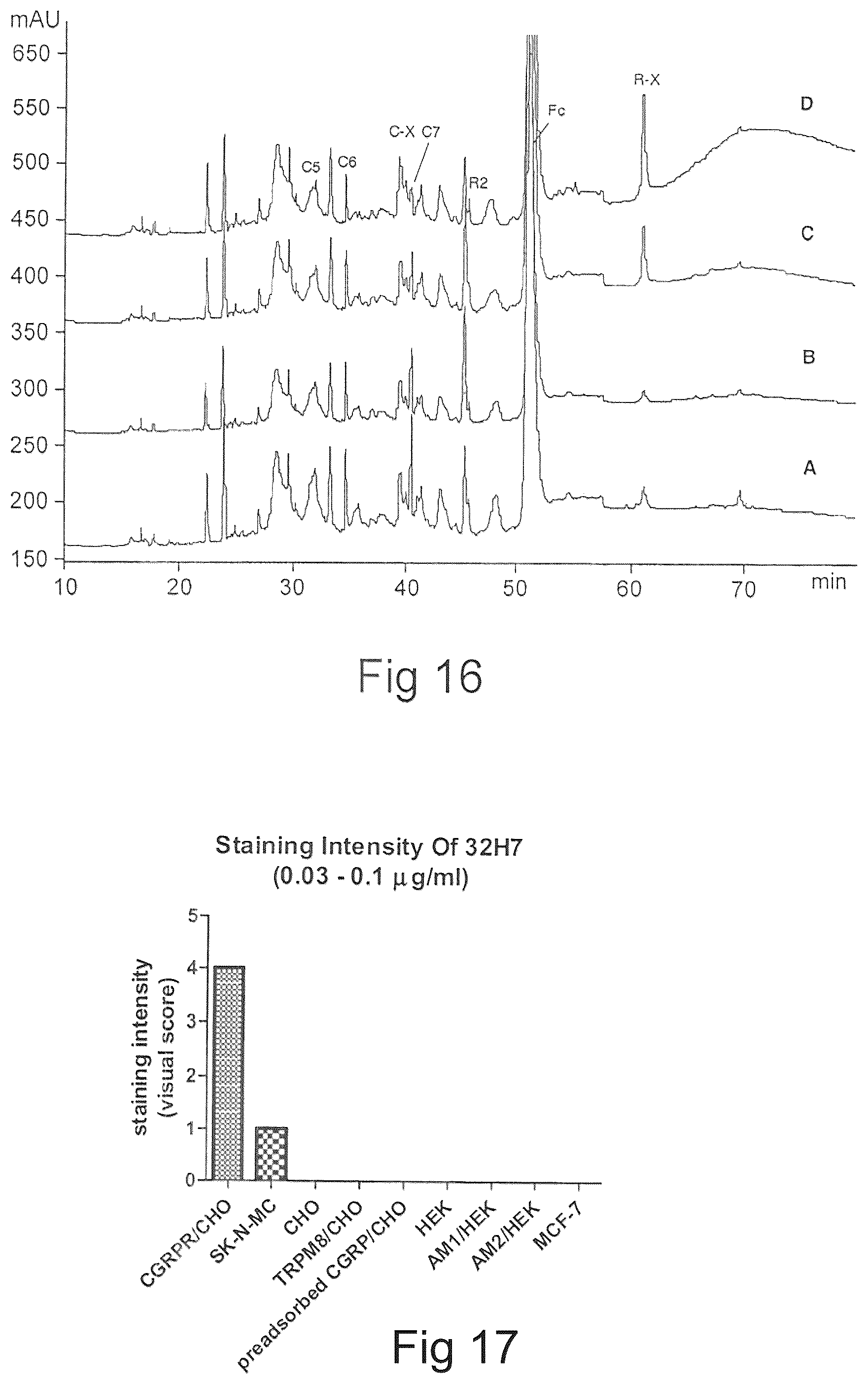 Patent US12134652 Figure 17 – Human CGRP receptor binding proteins