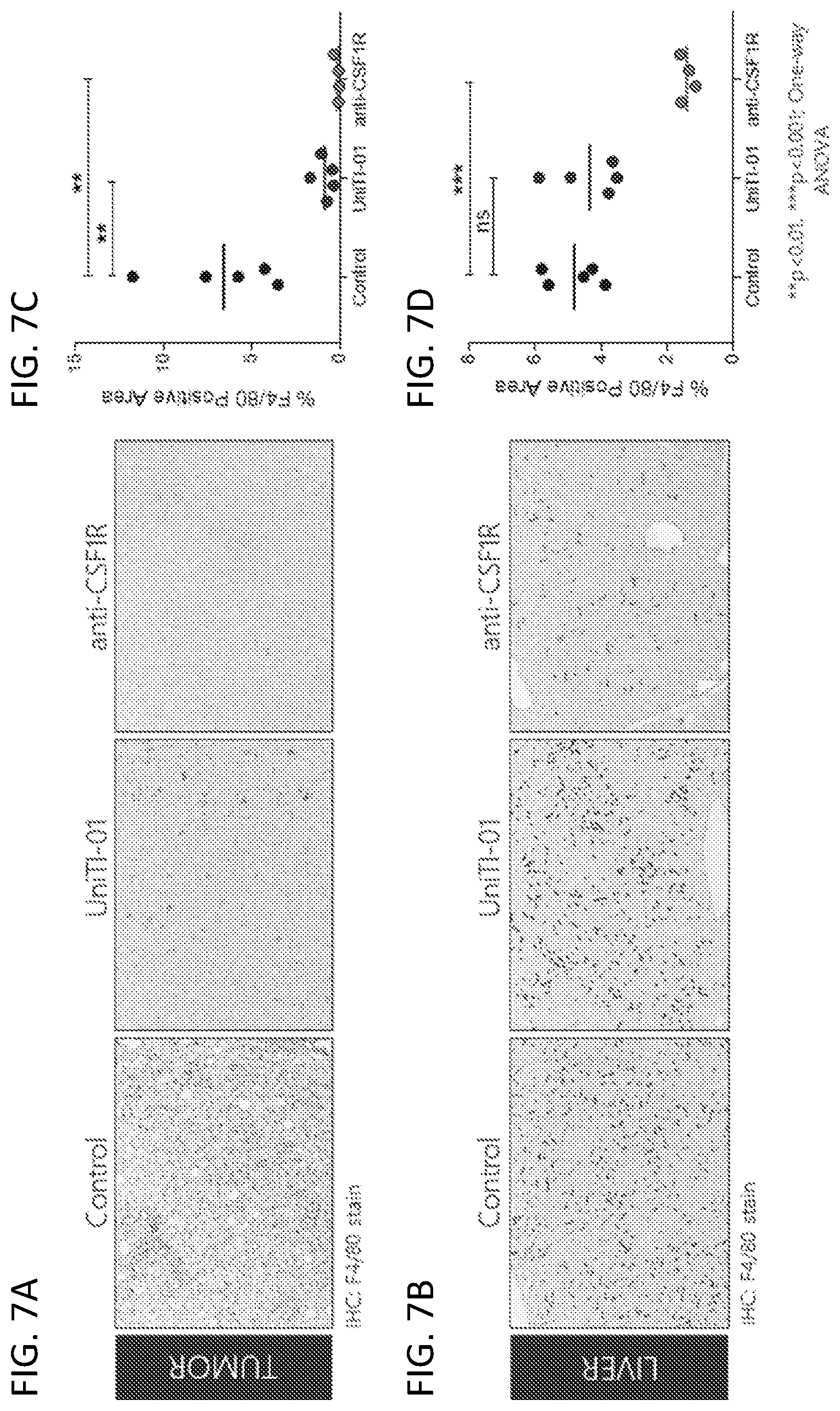 Patent US12134654 Figure 7 – Multispecific molecules and uses thereof