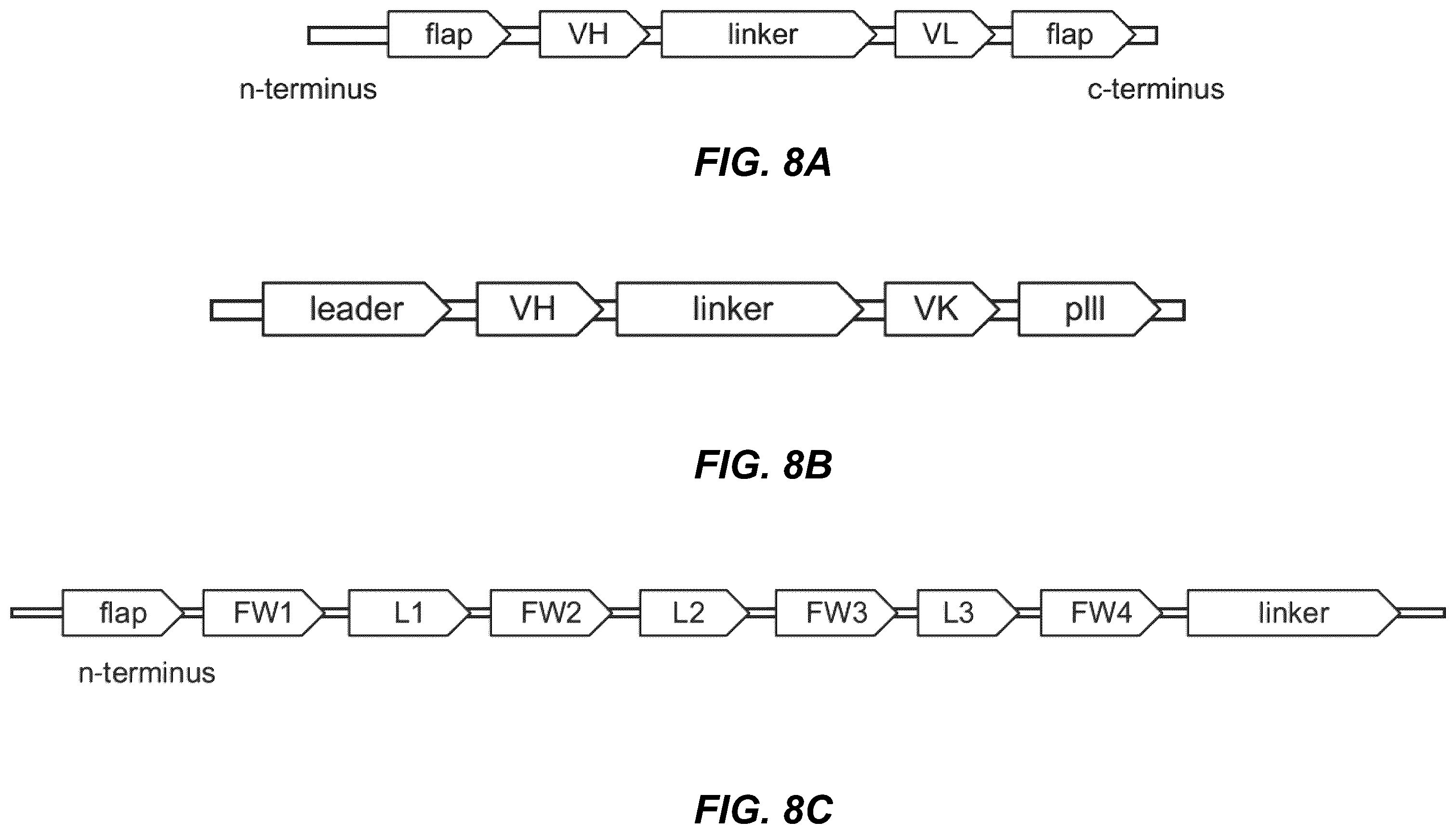 Patent US12134656 Figure 7 – Dickkopf-1 variant antibodies and methods of use