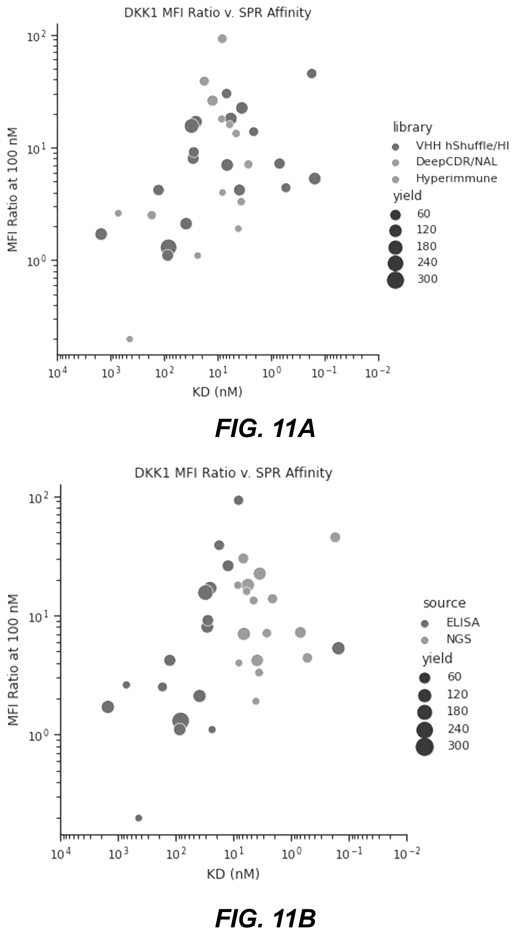 Patent US12134656 Figure 11 – Dickkopf-1 variant antibodies and methods of use
