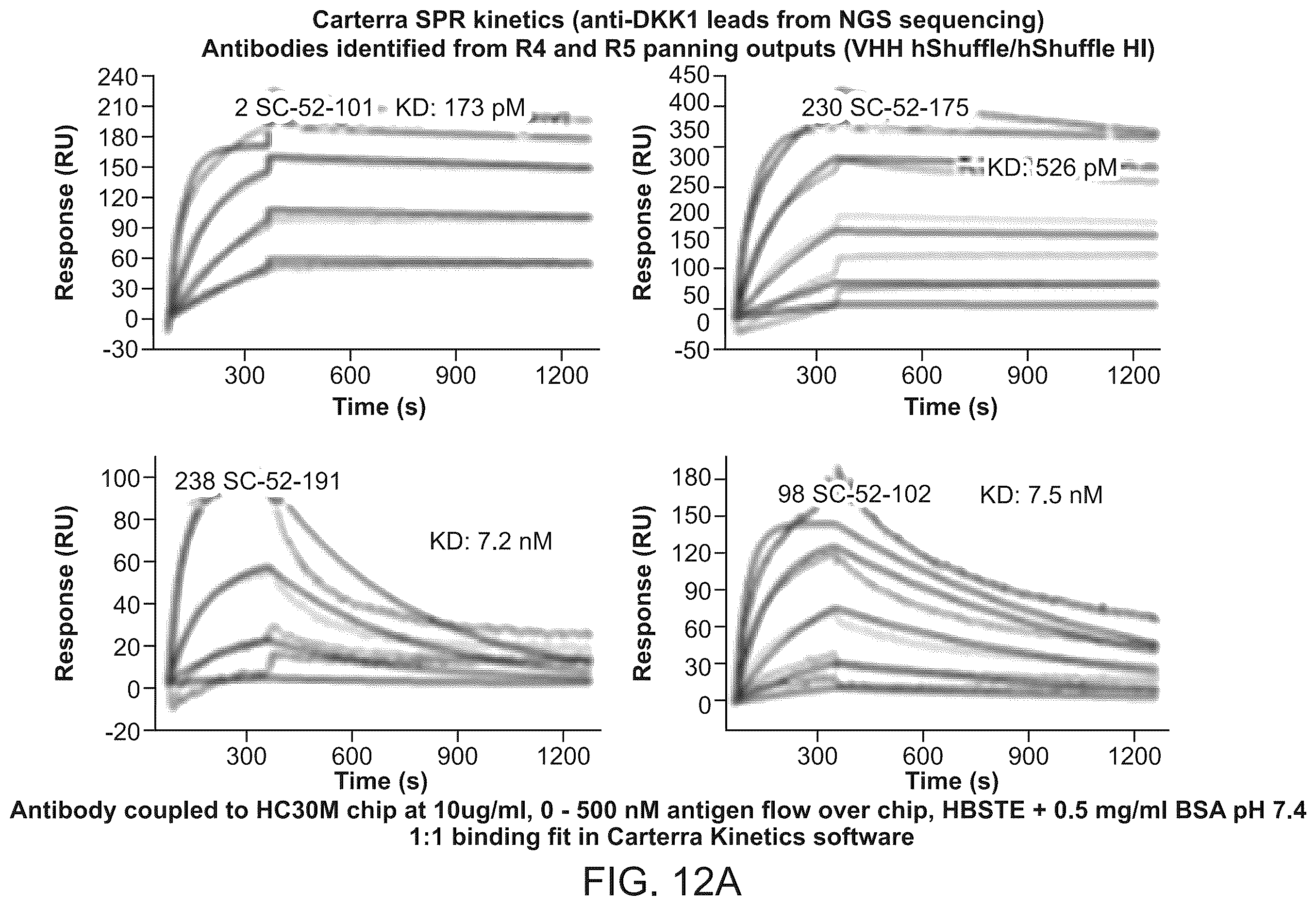 Patent US12134656 Figure 12 – Dickkopf-1 variant antibodies and methods of use