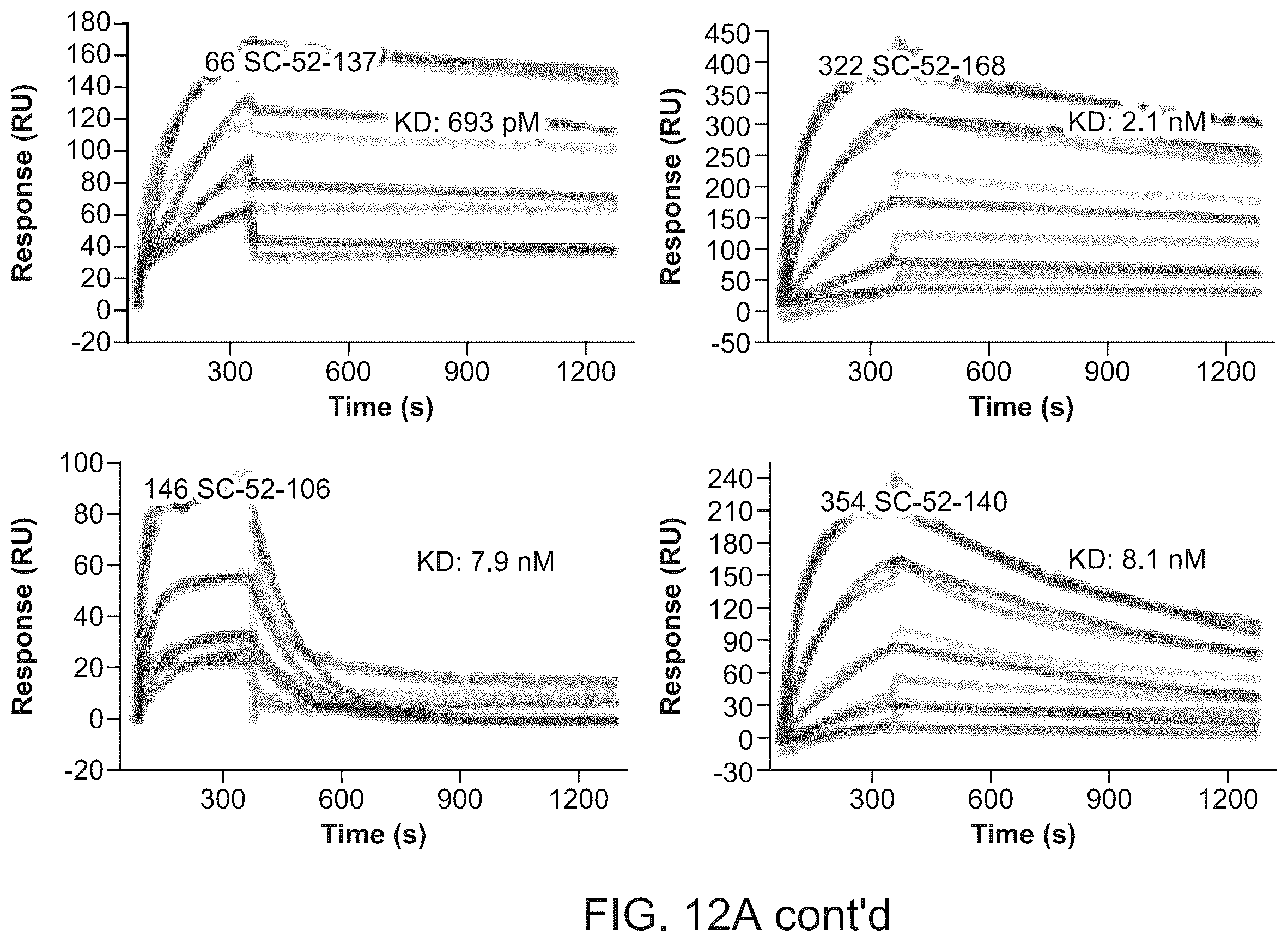 Patent US12134656 Figure 13 – Dickkopf-1 variant antibodies and methods of use