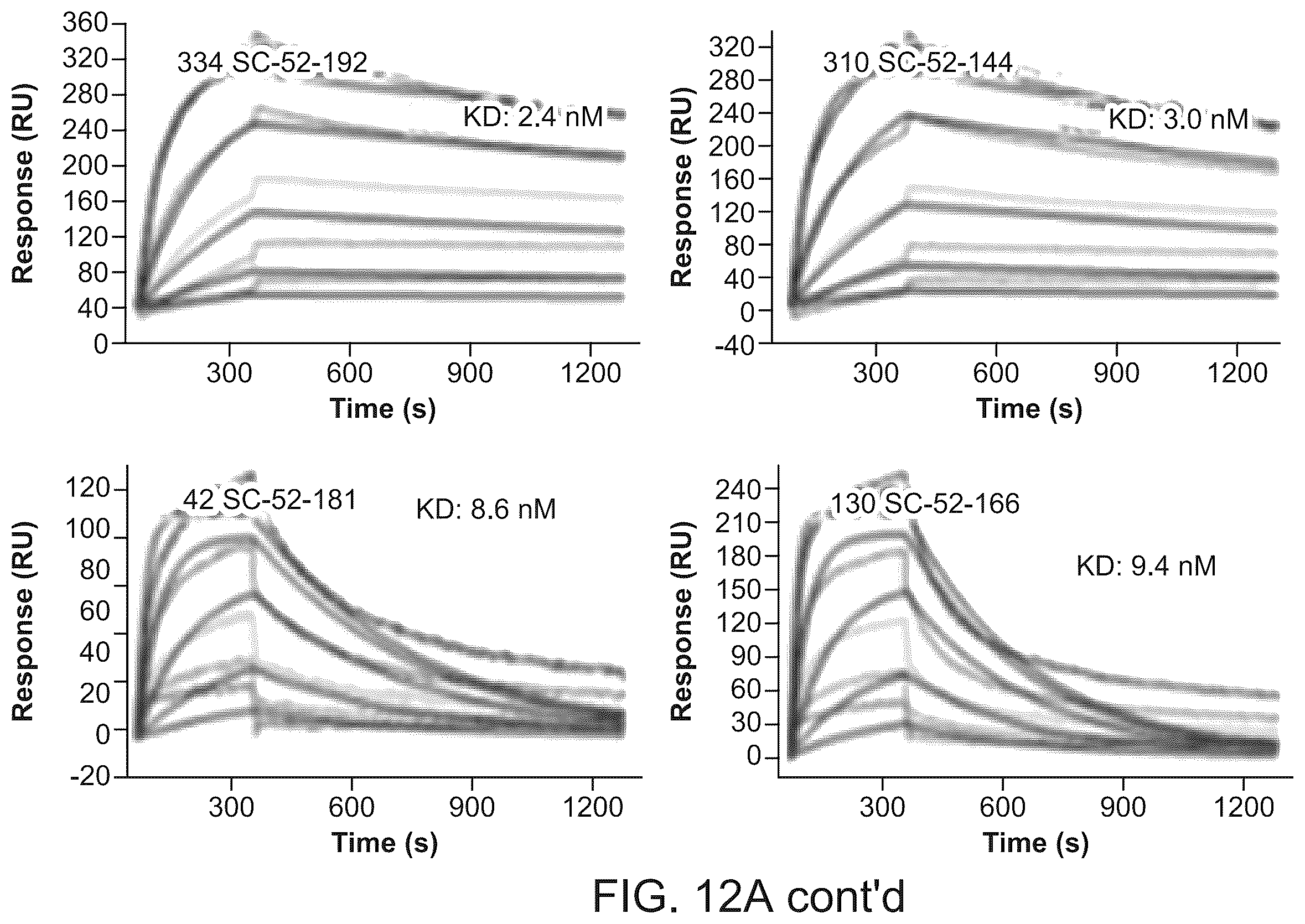 Patent US12134656 Figure 14 – Dickkopf-1 variant antibodies and methods of use