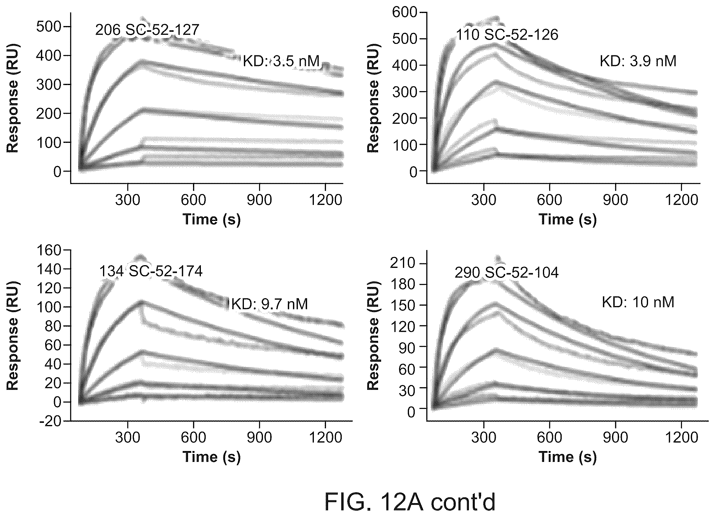 Patent US12134656 Figure 15 – Dickkopf-1 variant antibodies and methods of use