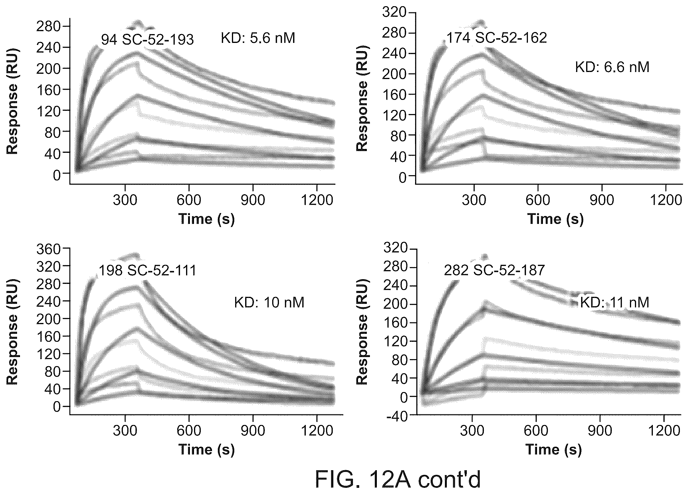 Patent US12134656 Figure 16 – Dickkopf-1 variant antibodies and methods of use