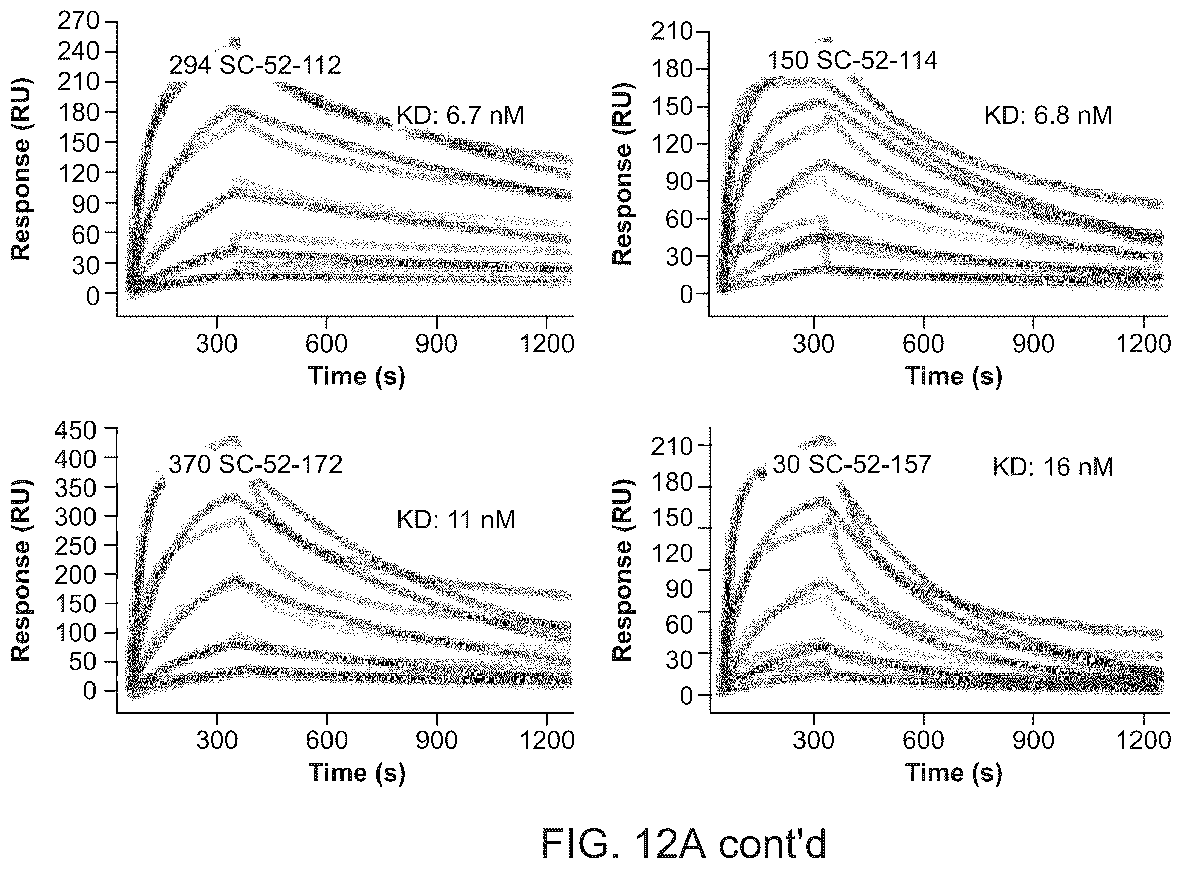 Patent US12134656 Figure 17 – Dickkopf-1 variant antibodies and methods of use