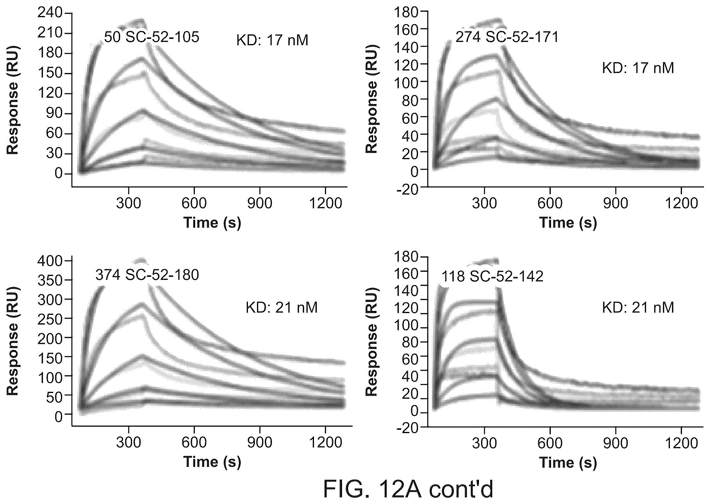 Patent US12134656 Figure 18 – Dickkopf-1 variant antibodies and methods of use