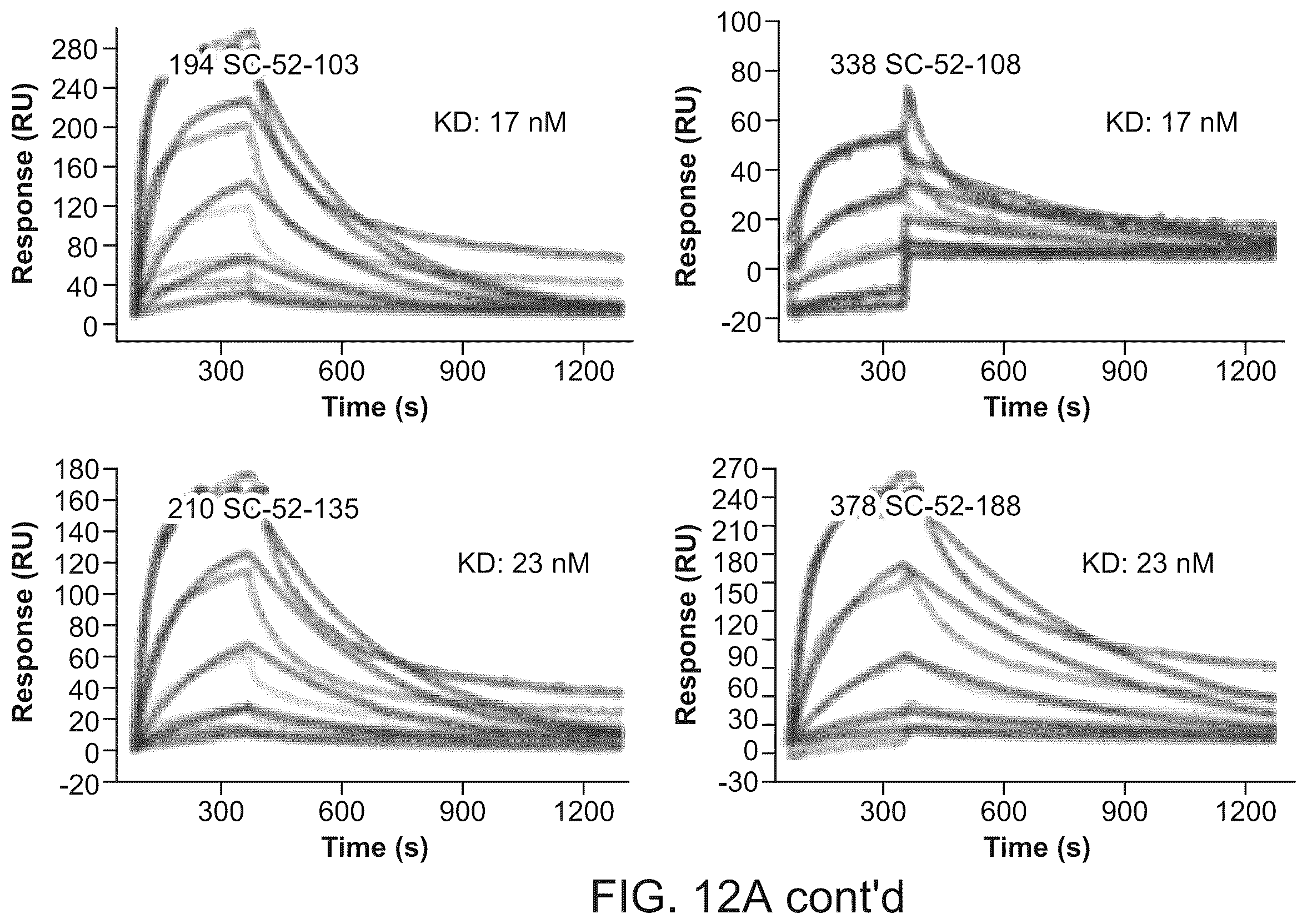 Patent US12134656 Figure 19 – Dickkopf-1 variant antibodies and methods of use