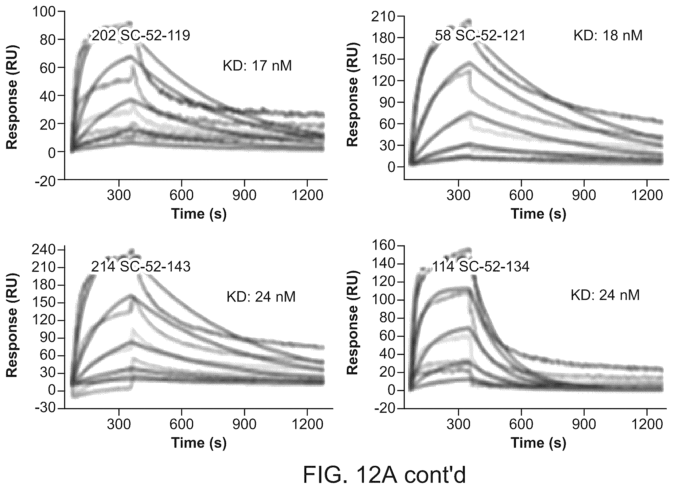 Patent US12134656 Figure 20 – Dickkopf-1 variant antibodies and methods of use