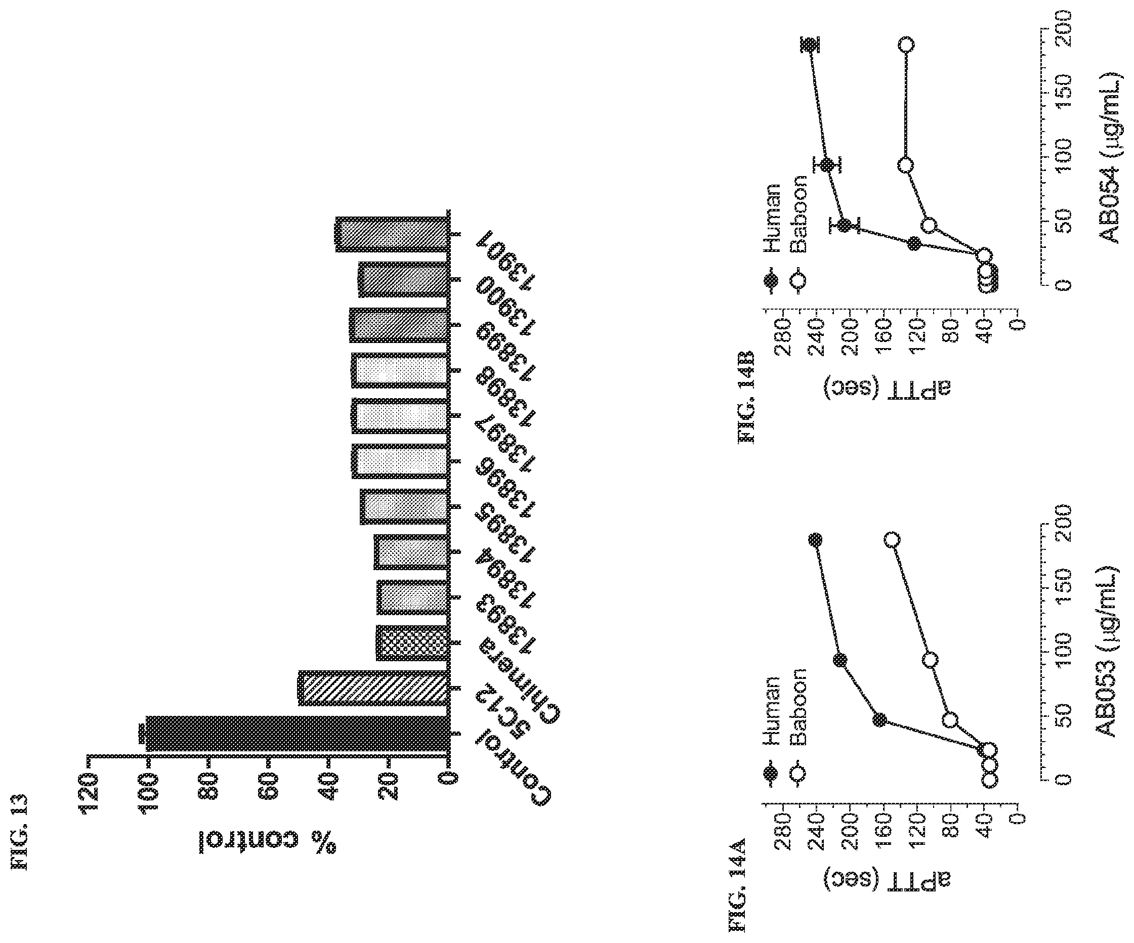 Patent US12134657 Figure 13 – Therapeutic factor XII antibody
