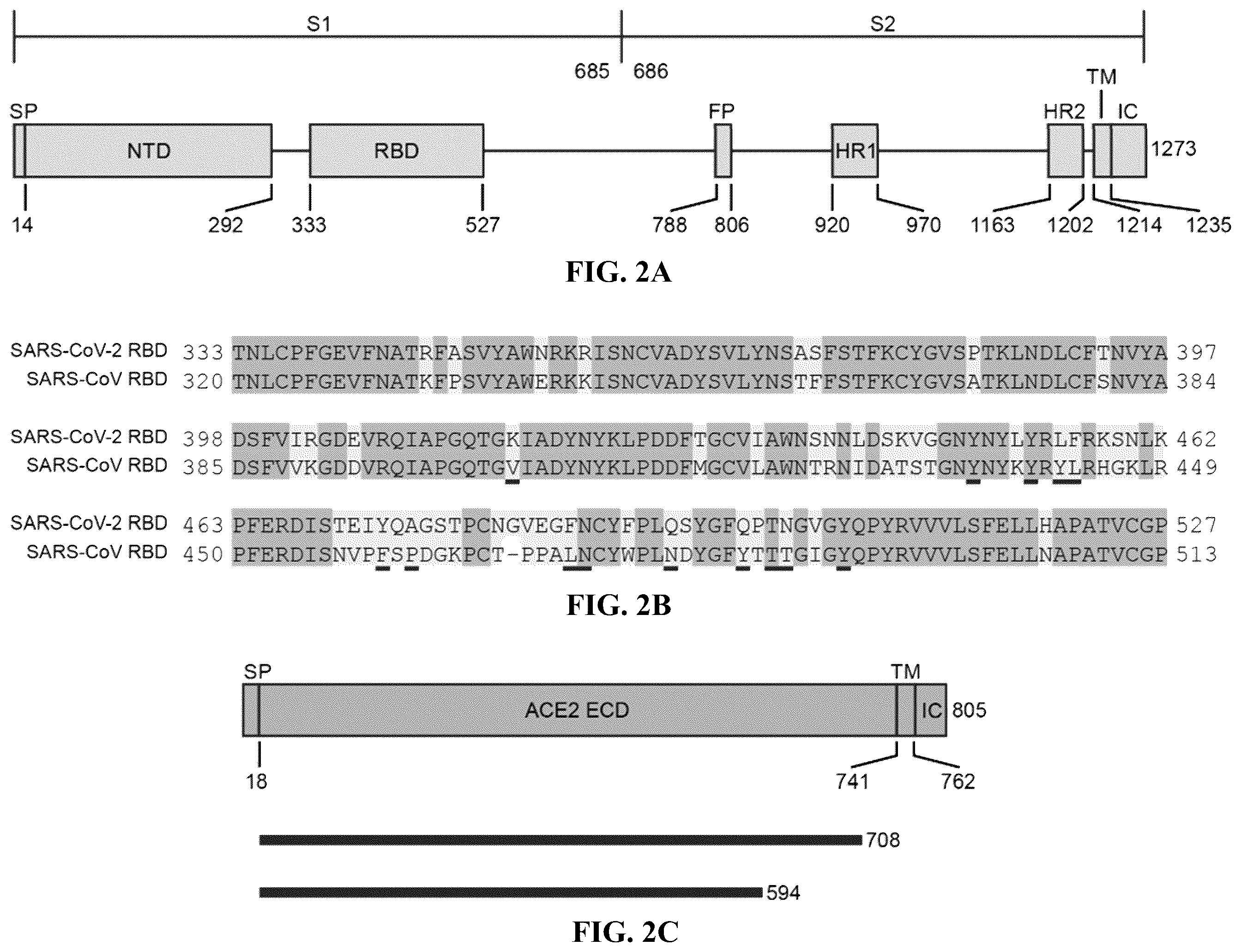 Patent US12134658 Figure 2 – Materials and methods for multidirectional biotransportation in virotherapeutics