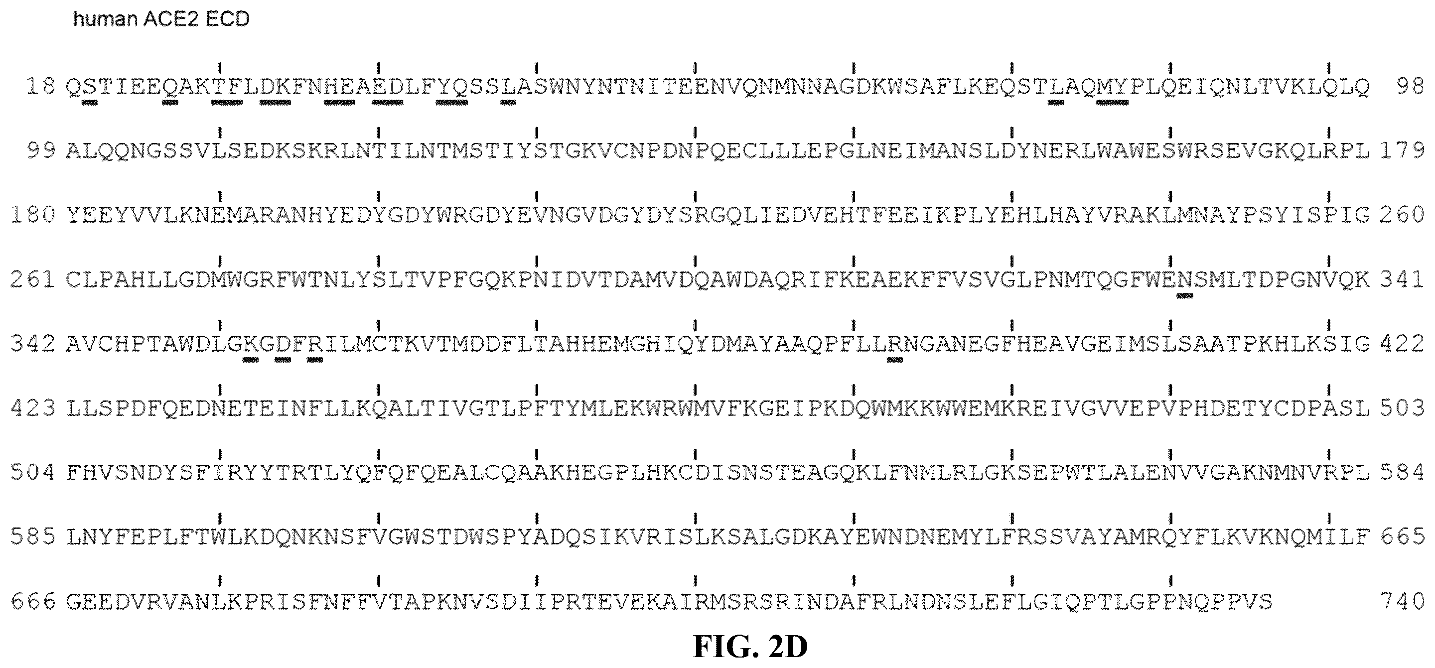 Patent US12134658 Figure 3 – Materials and methods for multidirectional biotransportation in virotherapeutics