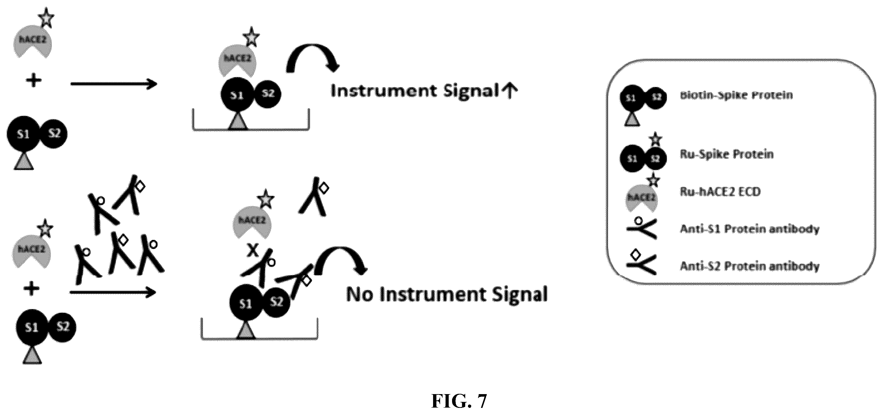 Patent US12134658 Figure 12 – Materials and methods for multidirectional biotransportation in virotherapeutics