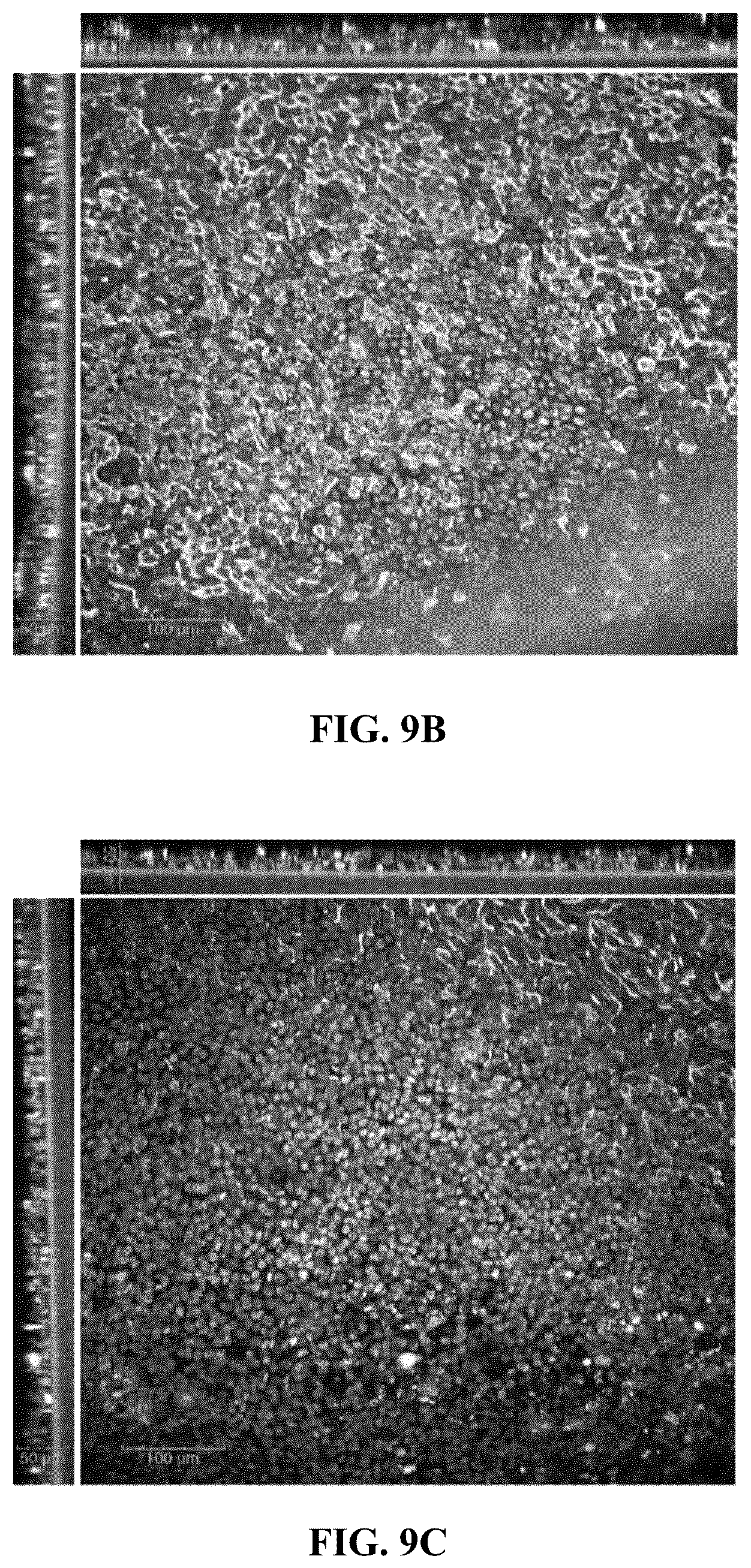 Patent US12134658 Figure 15 – Materials and methods for multidirectional biotransportation in virotherapeutics