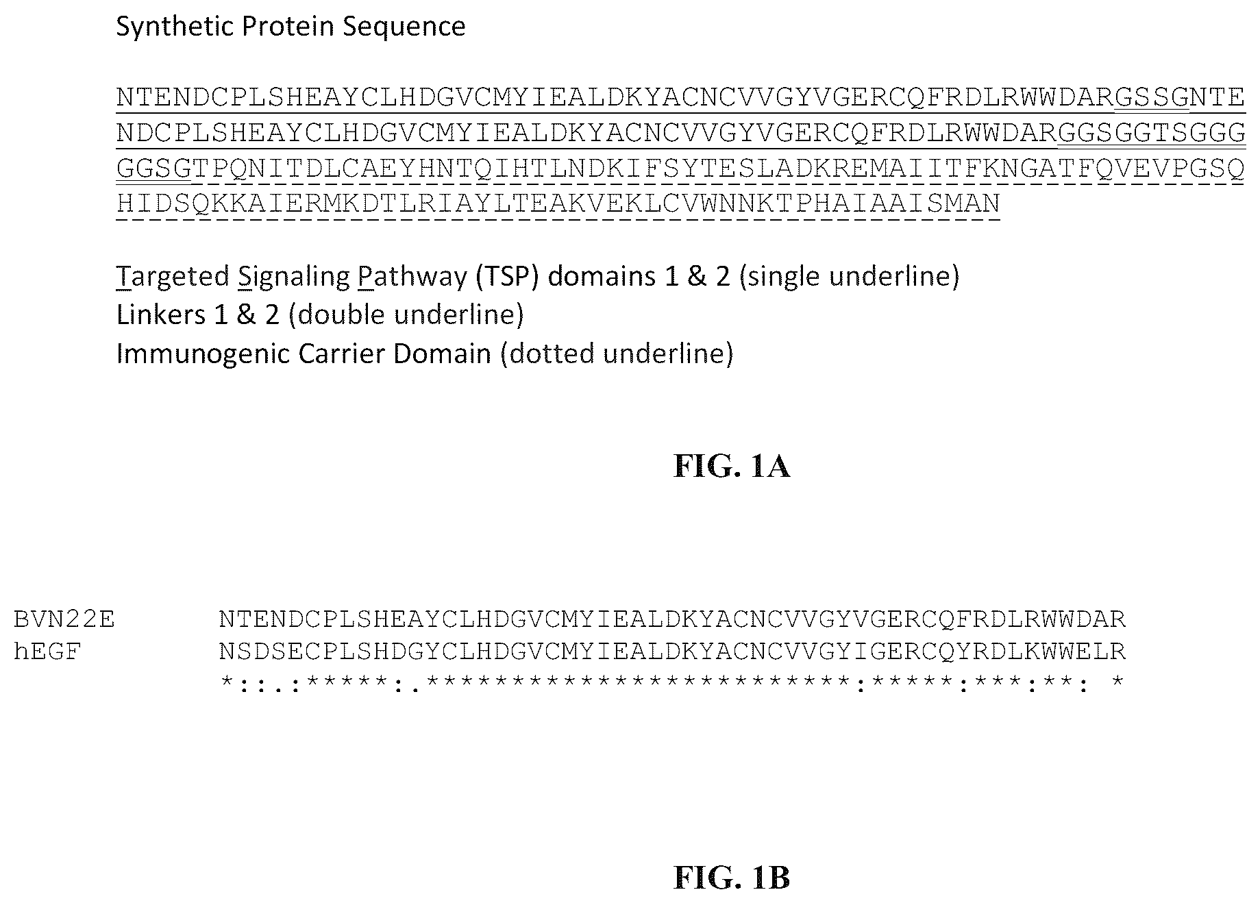 Patent US12134662 Figure 1 – Synthetic proteins and therapeutic uses thereof