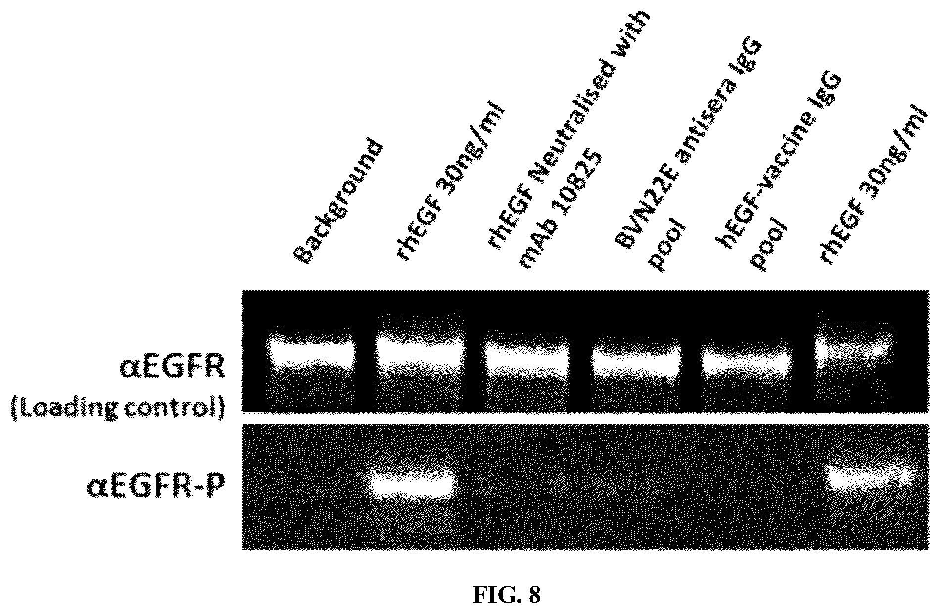 Patent US12134662 Figure 9 – Synthetic proteins and therapeutic uses thereof