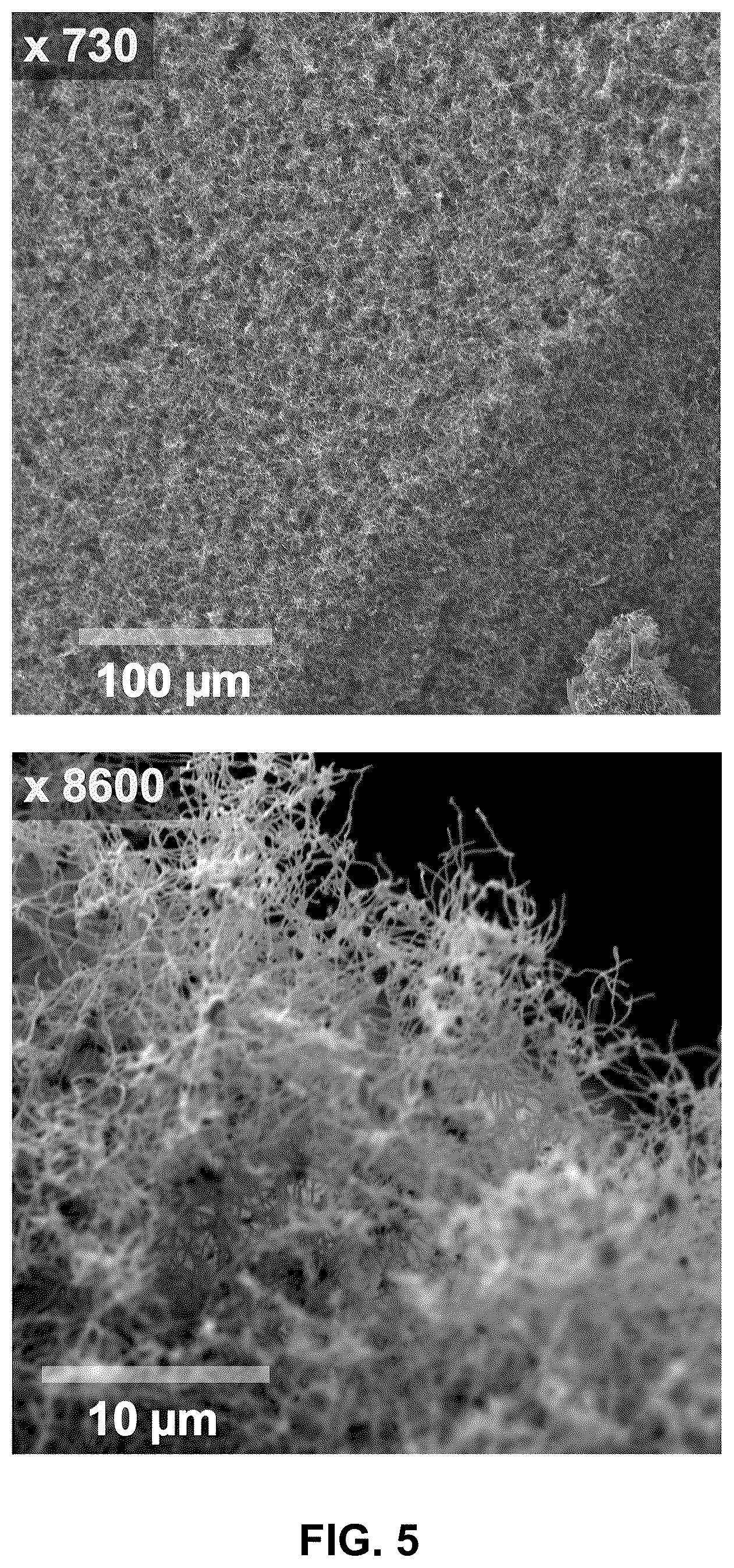 Patent US12134685 Figure 5 – Apparatus, system and method for making a polymer-carbon nanomaterial admixture from carbon dioxide and materials and products thereof