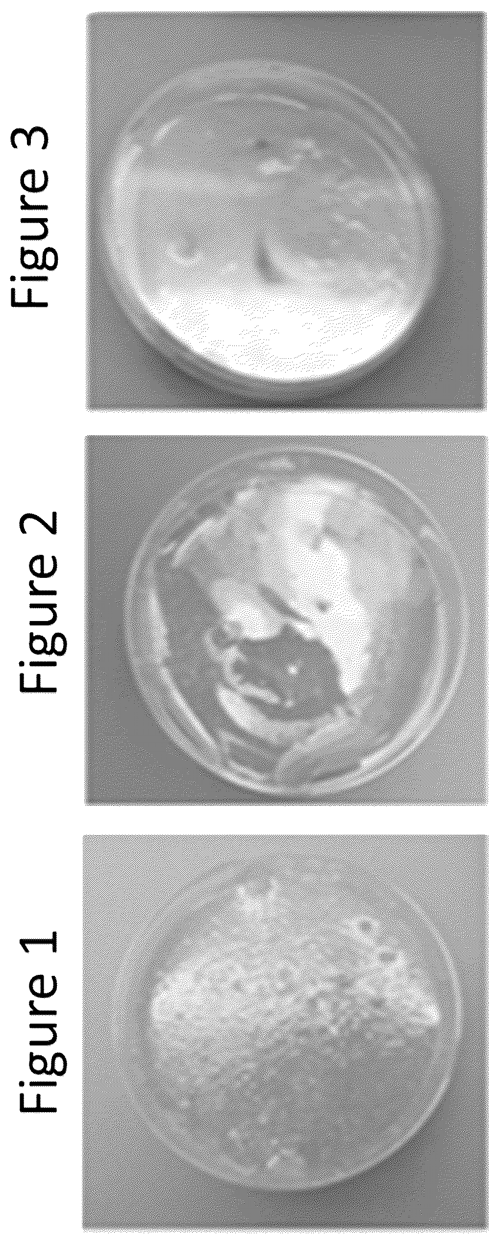 Patent US12134749 Figure 1 – Shaped detergent product composition comprising aminopolycarboxylate