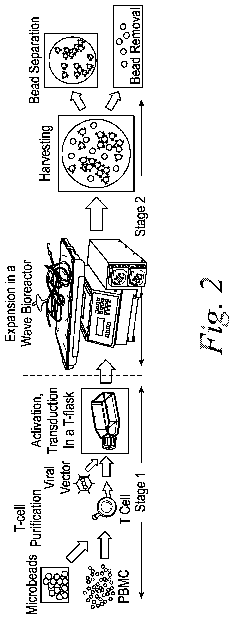 Patent US12134757 Figure 2 – Apparatus