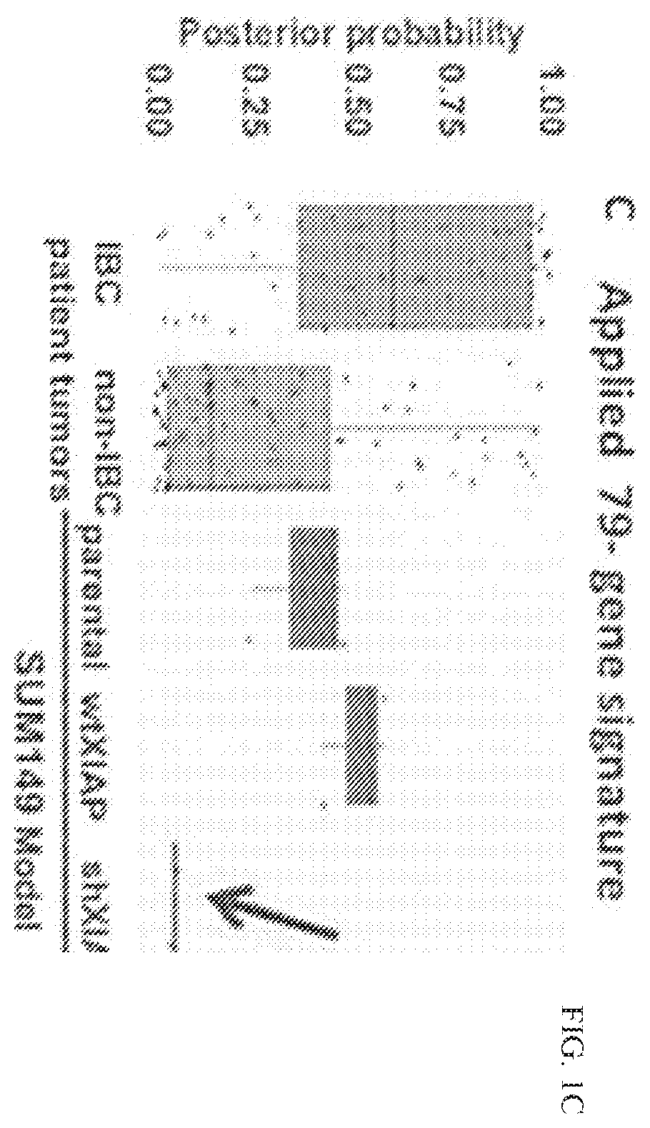 Patent US12134762 Figure 2 – Lymphovascular invasion bioreactor and methods of making and using same