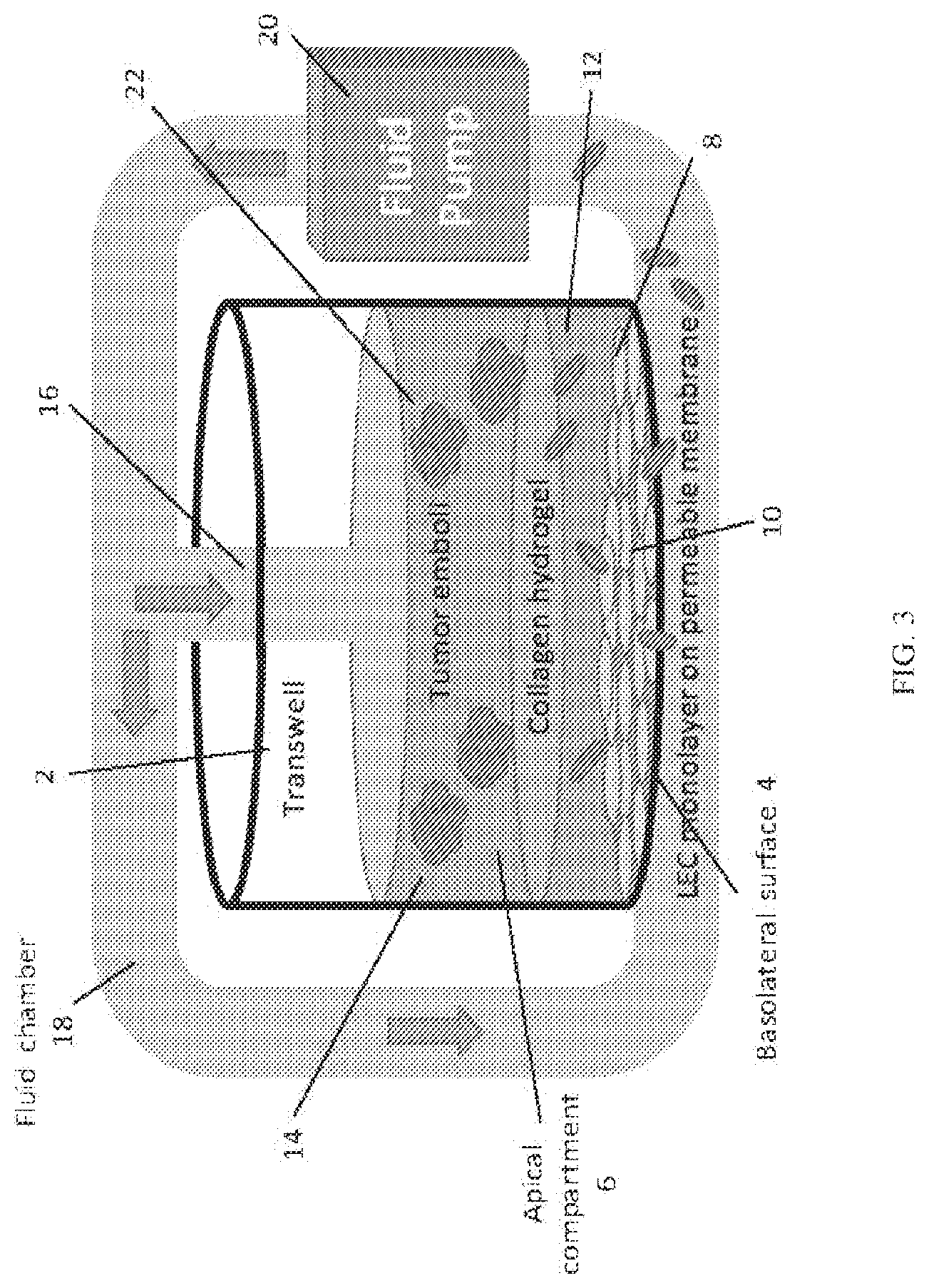 Patent US12134762 Figure 4 – Lymphovascular invasion bioreactor and methods of making and using same