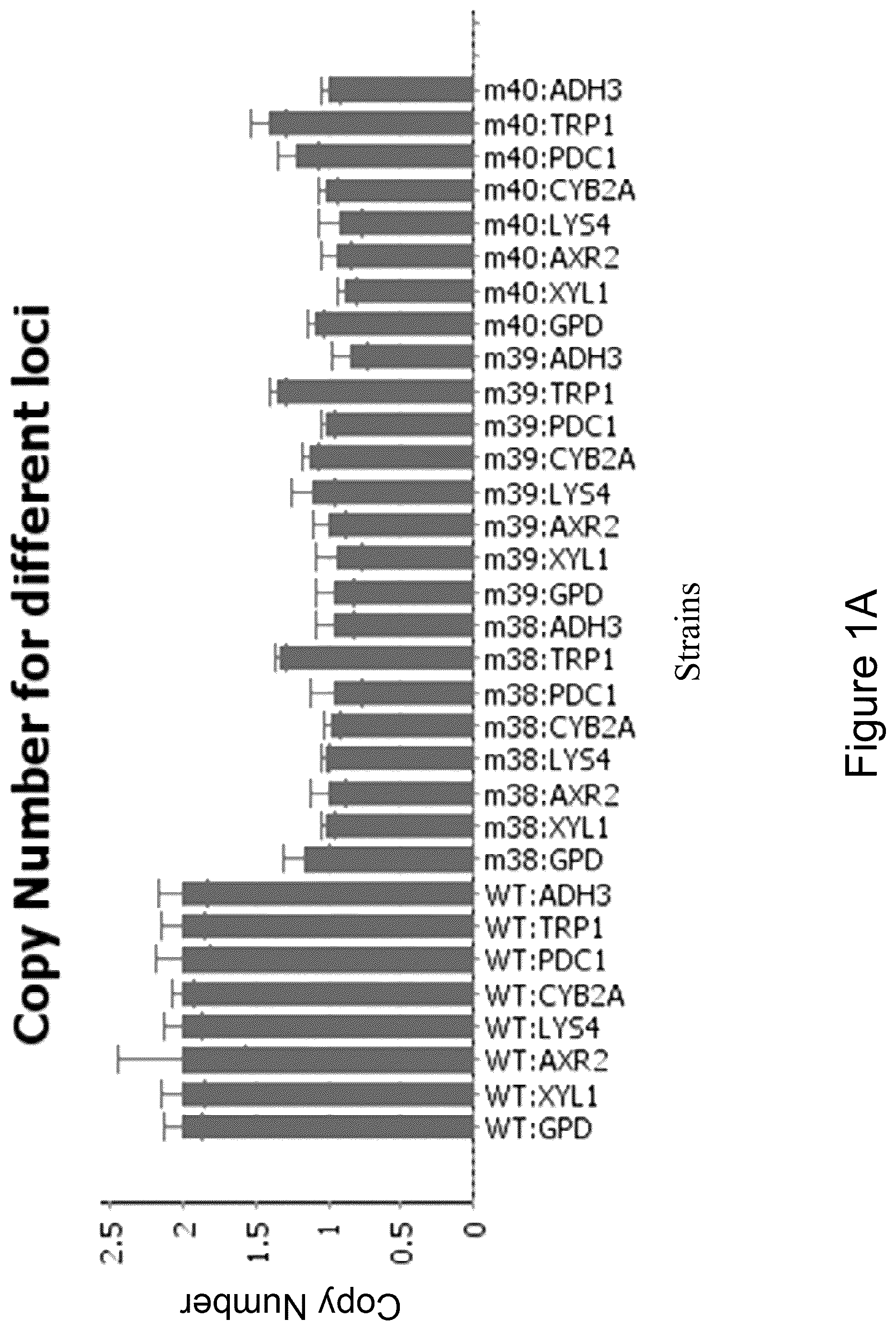 Patent US12134764 Figure 1 – Genetically modified haploid Issatchenkia orientalis
