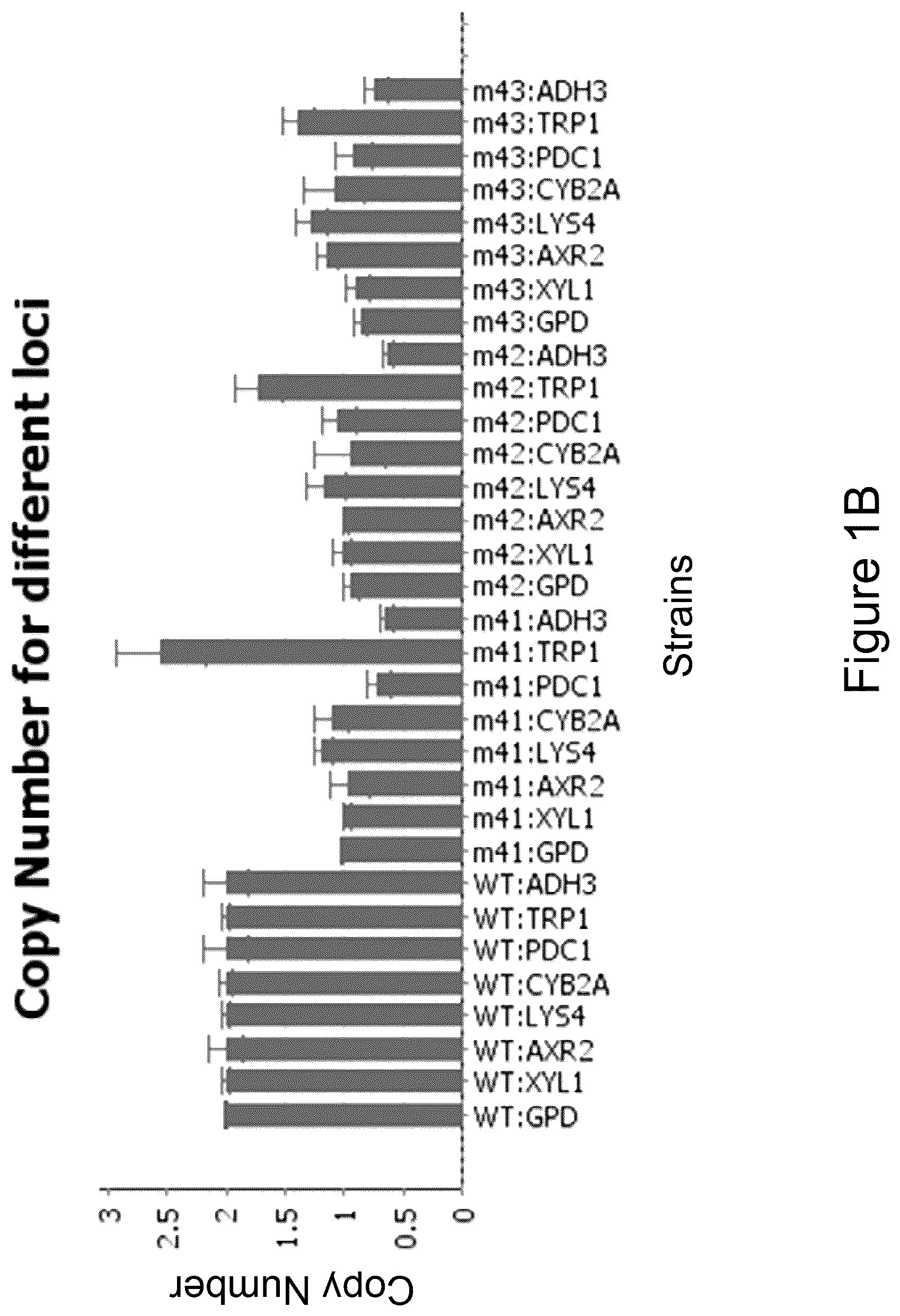 Patent US12134764 Figure 2 – Genetically modified haploid Issatchenkia orientalis