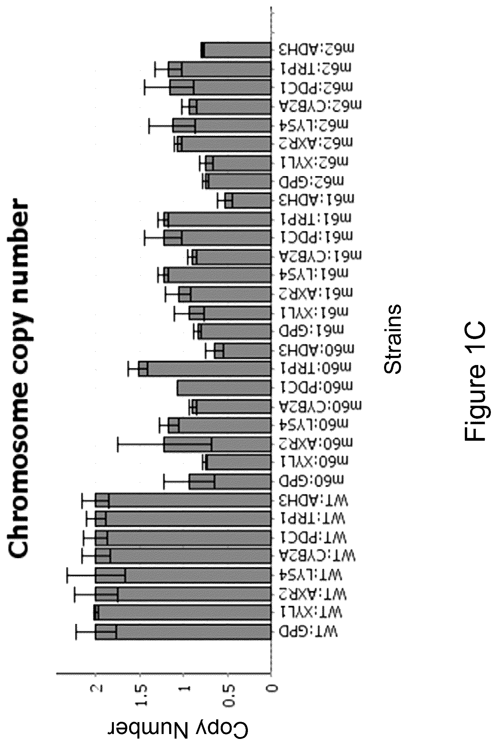 Patent US12134764 Figure 3 – Genetically modified haploid Issatchenkia orientalis