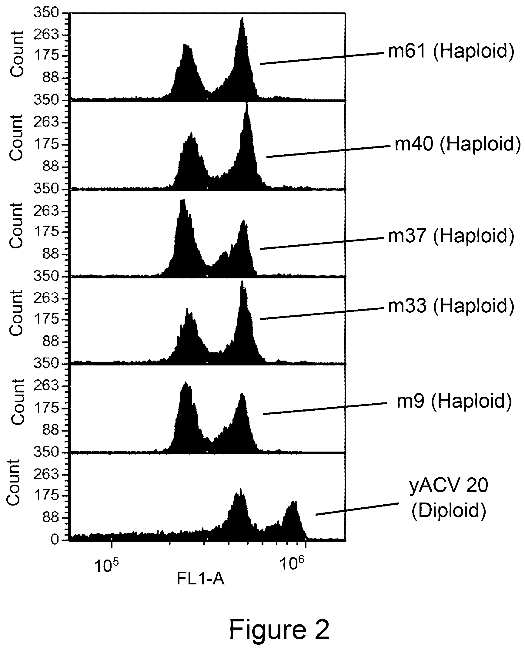 Patent US12134764 Figure 4 – Genetically modified haploid Issatchenkia orientalis