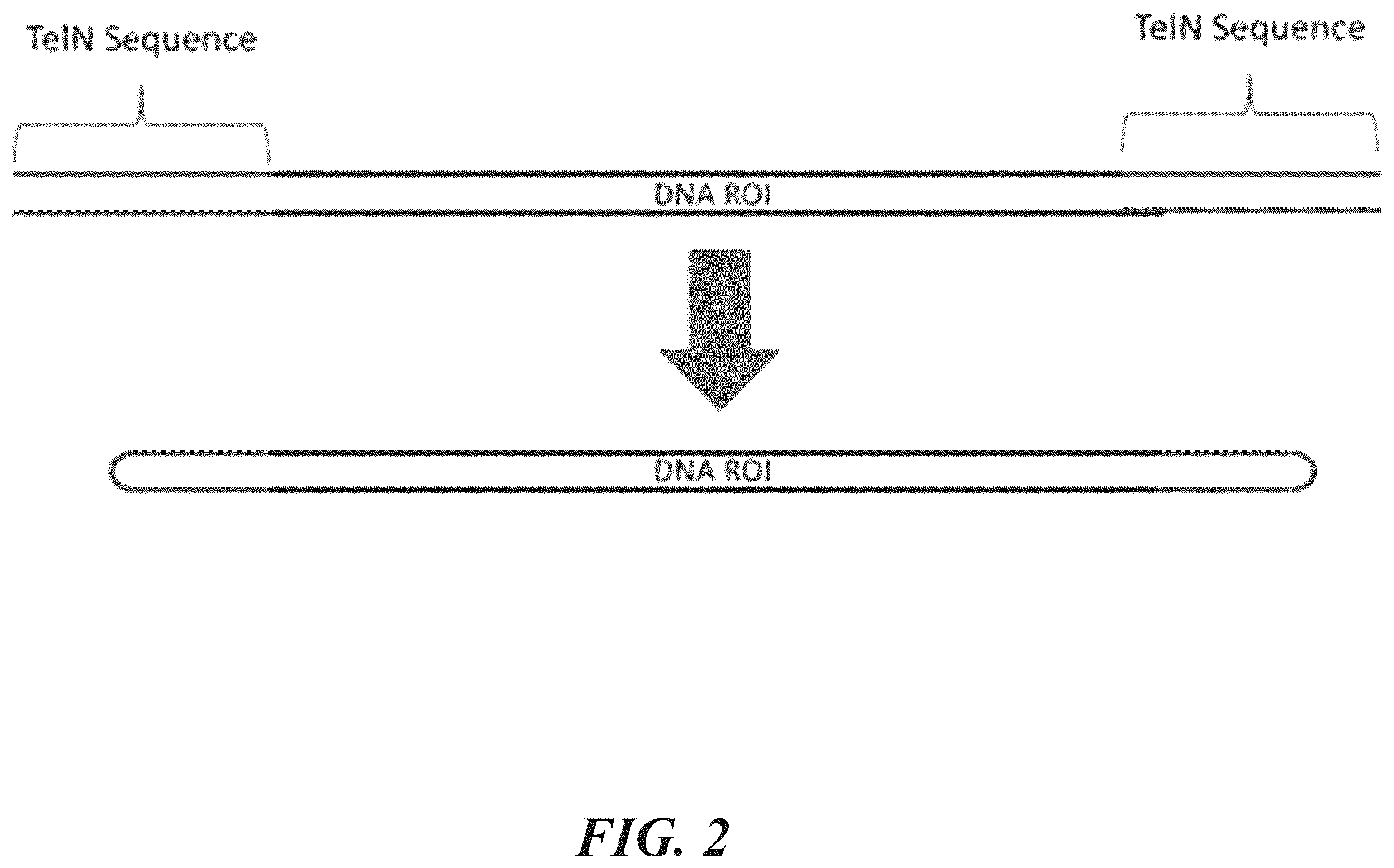 Patent US12134766 Figure 2 – Methods for generating circular nucleic acid molecules