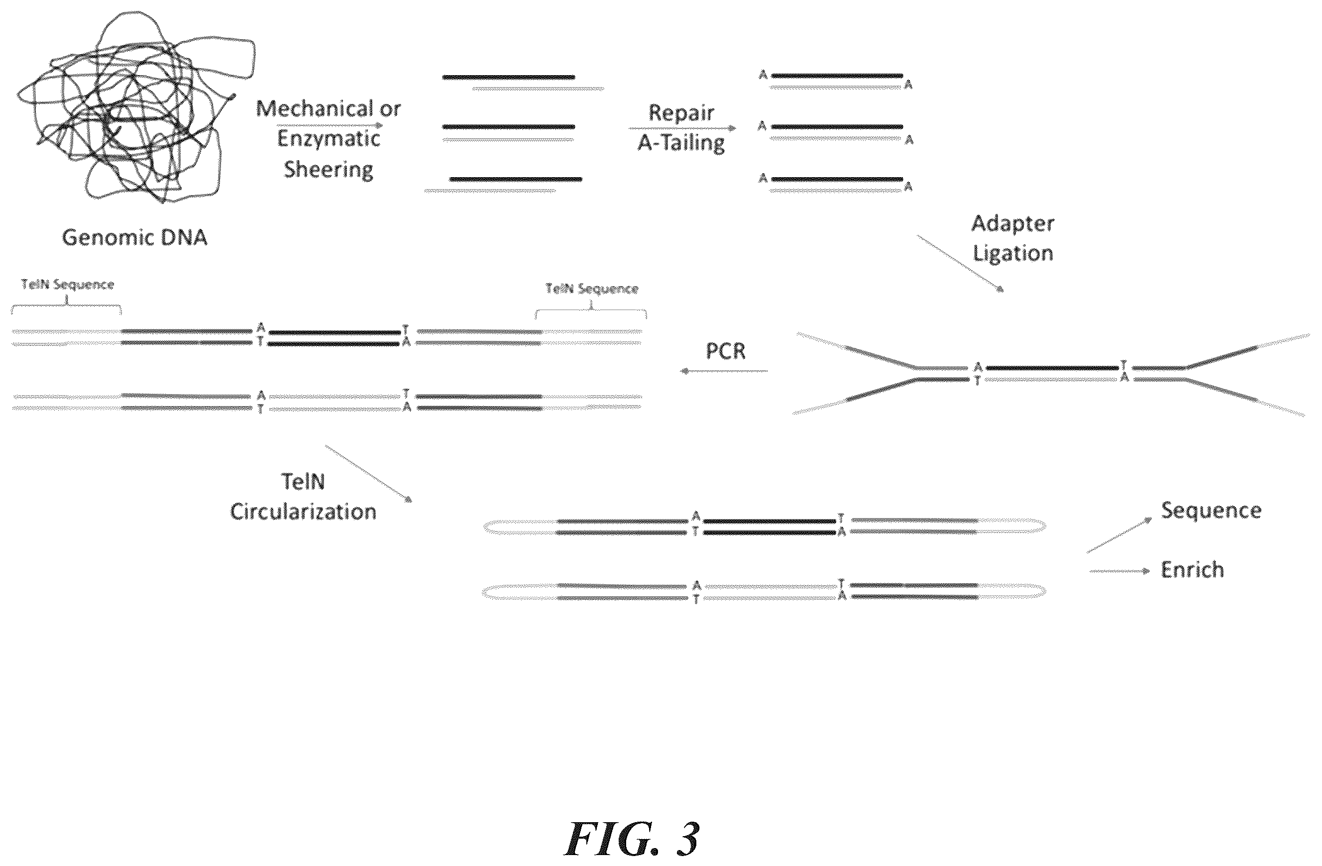 Patent US12134766 Figure 3 – Methods for generating circular nucleic acid molecules