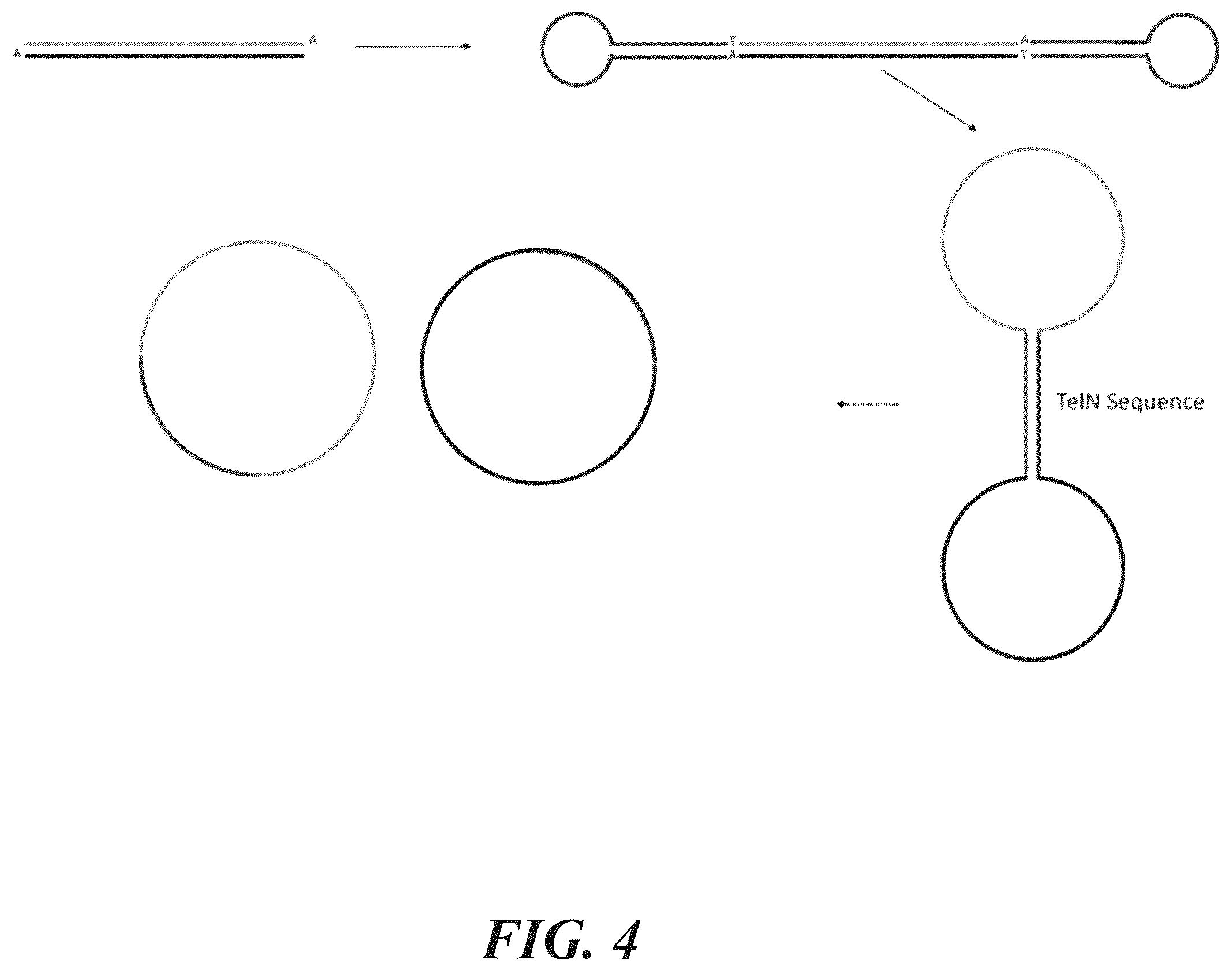 Patent US12134766 Figure 4 – Methods for generating circular nucleic acid molecules