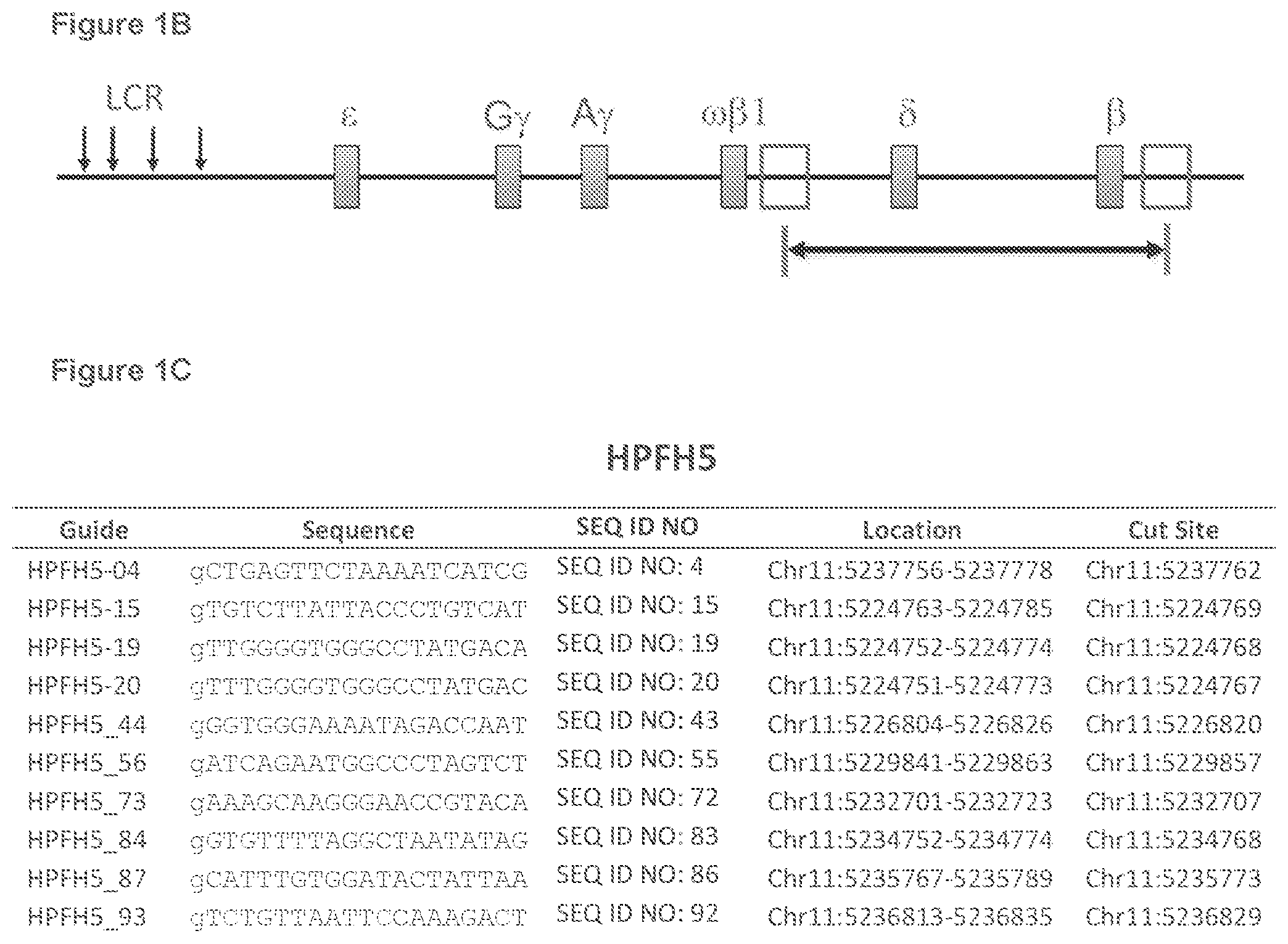 Patent US12134767 Figure 2 – Materials and methods for treatment of hemoglobinopathies