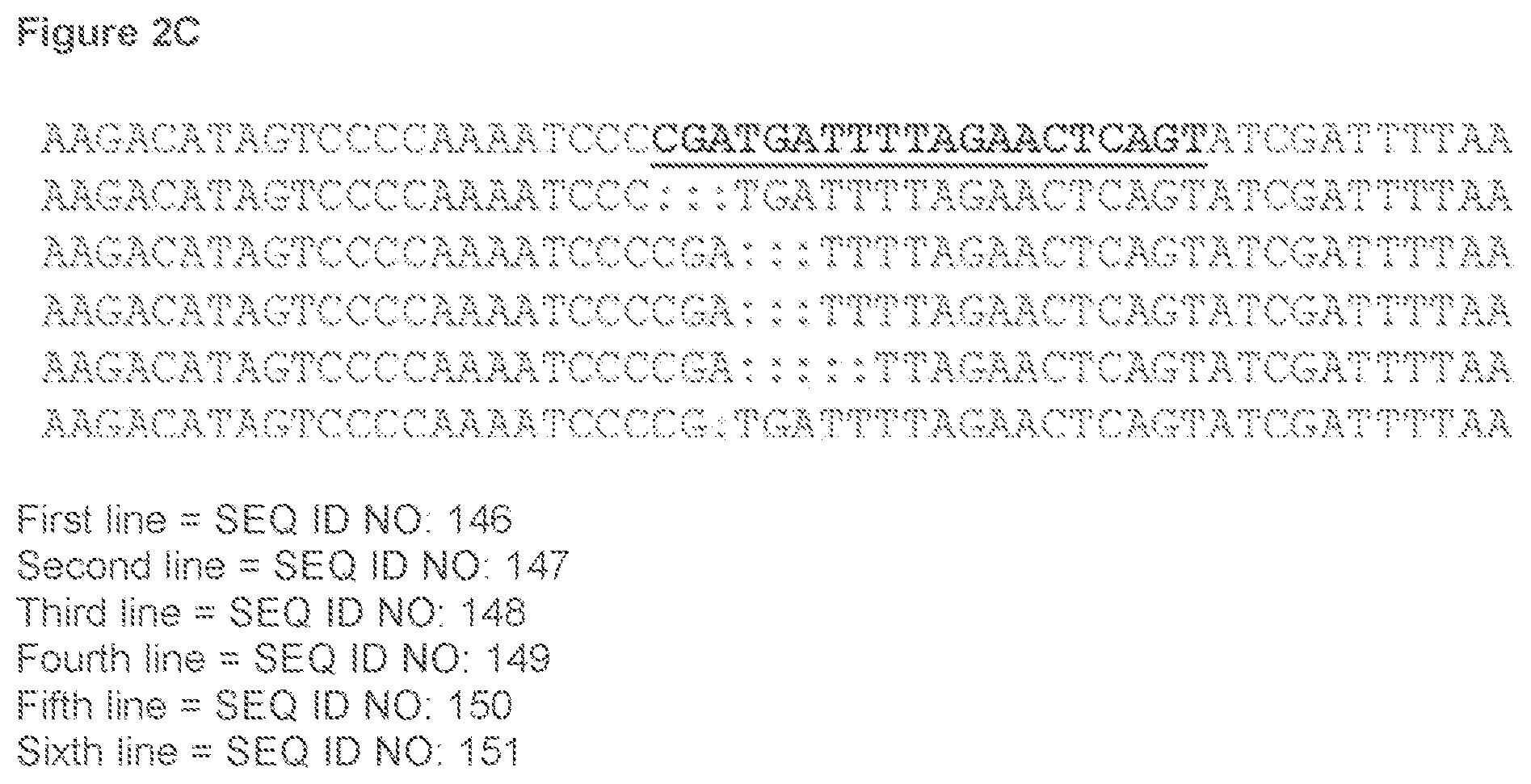 Patent US12134767 Figure 5 – Materials and methods for treatment of hemoglobinopathies