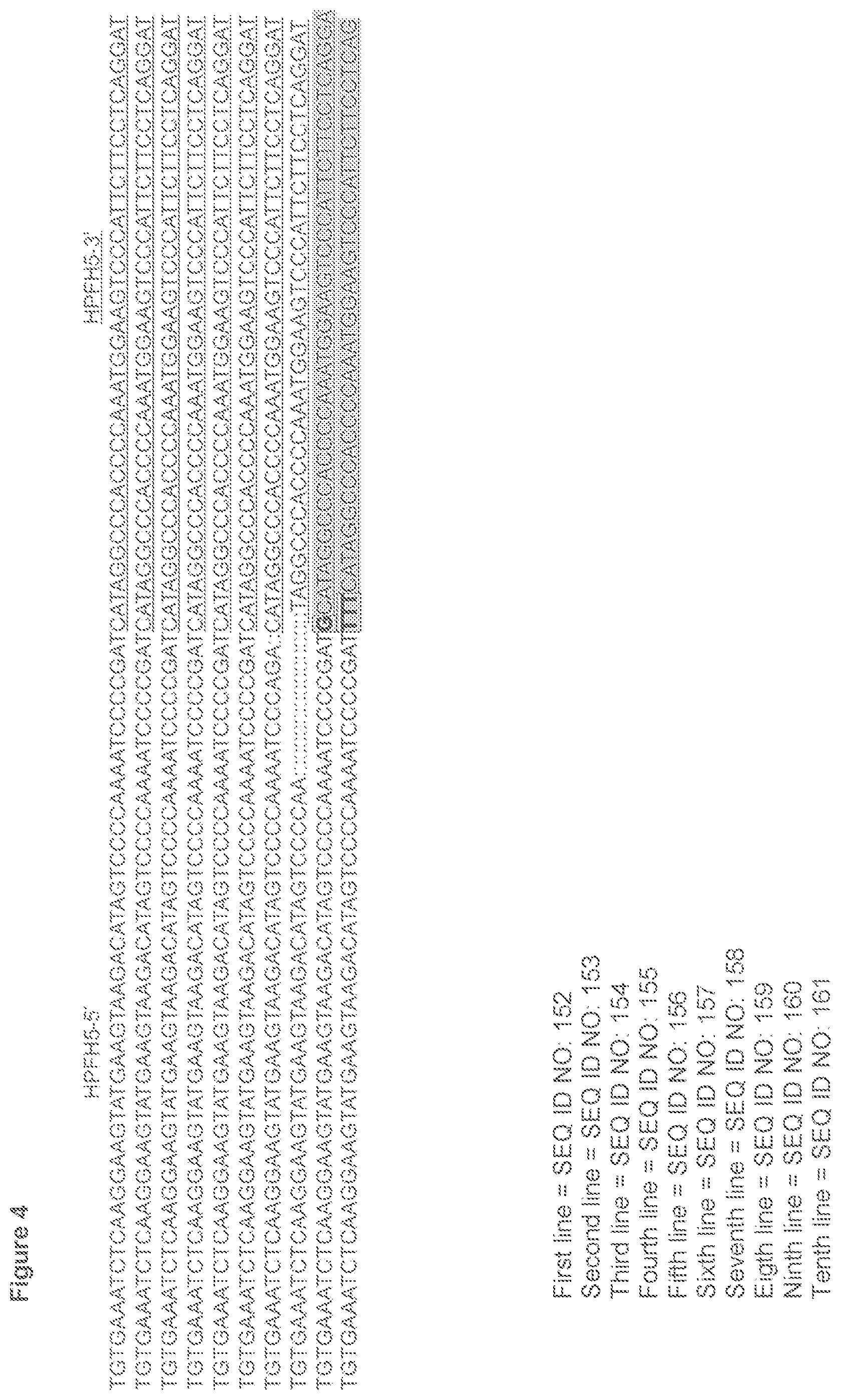 Patent US12134767 Figure 7 – Materials and methods for treatment of hemoglobinopathies