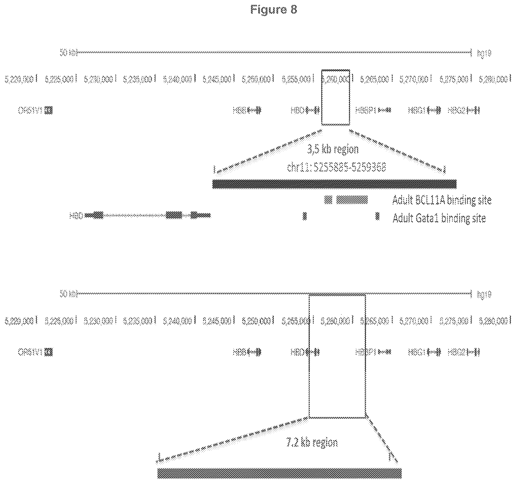 Patent US12134767 Figure 14 – Materials and methods for treatment of hemoglobinopathies