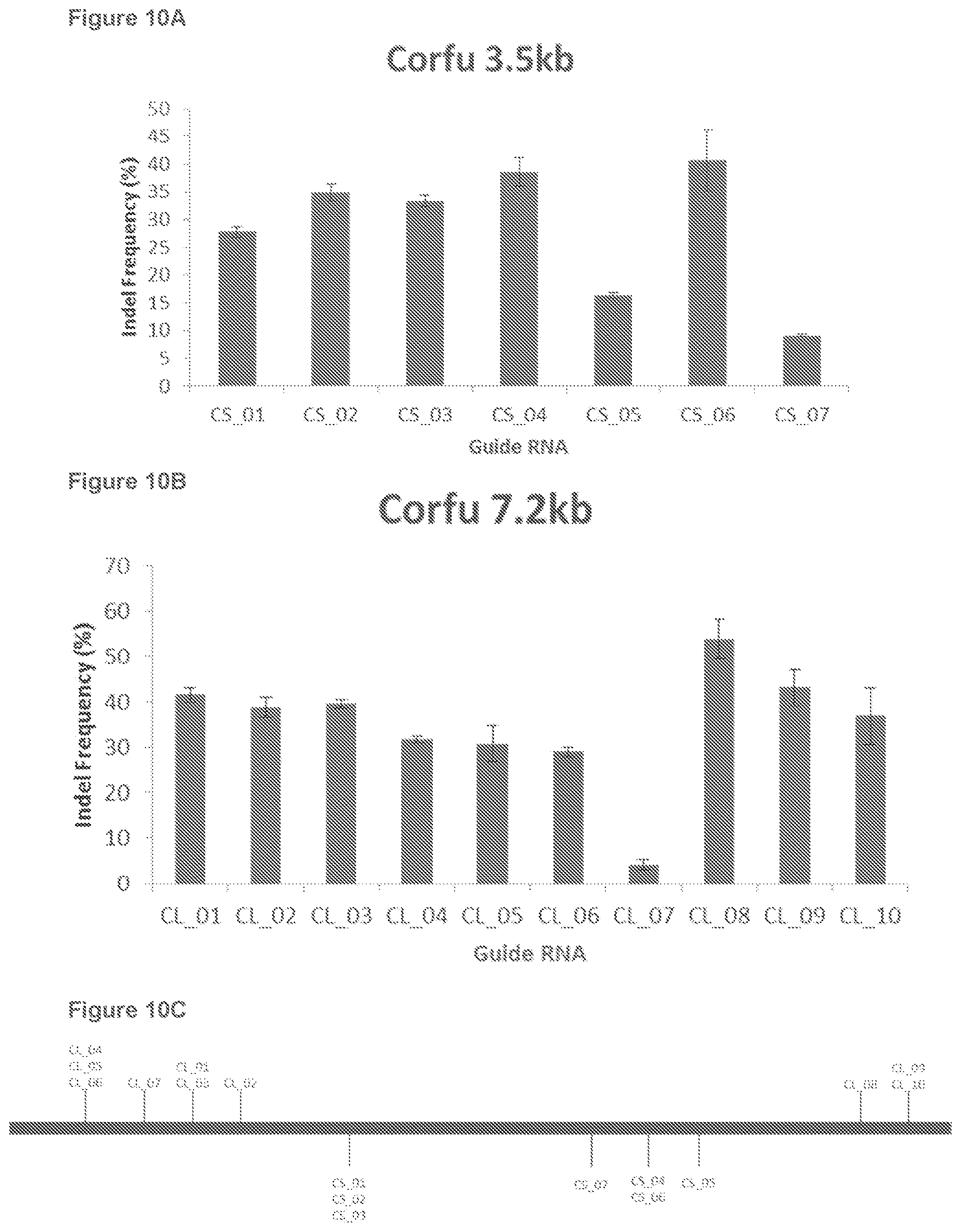 Patent US12134767 Figure 16 – Materials and methods for treatment of hemoglobinopathies
