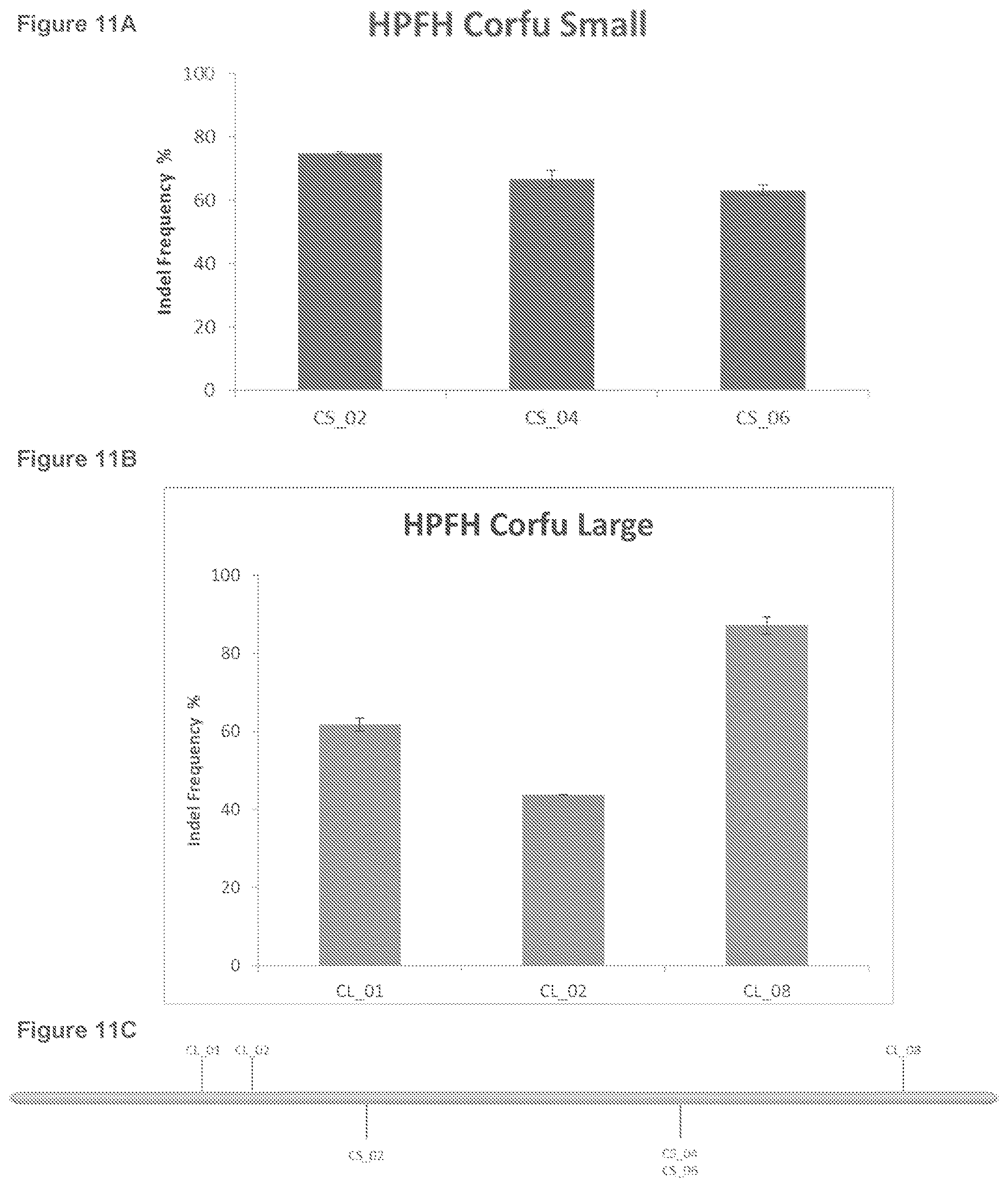 Patent US12134767 Figure 17 – Materials and methods for treatment of hemoglobinopathies