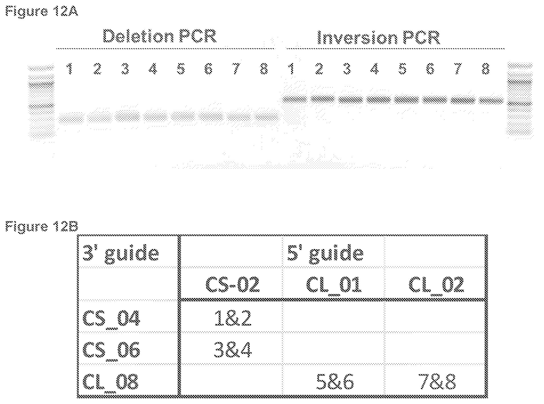 Patent US12134767 Figure 18 – Materials and methods for treatment of hemoglobinopathies