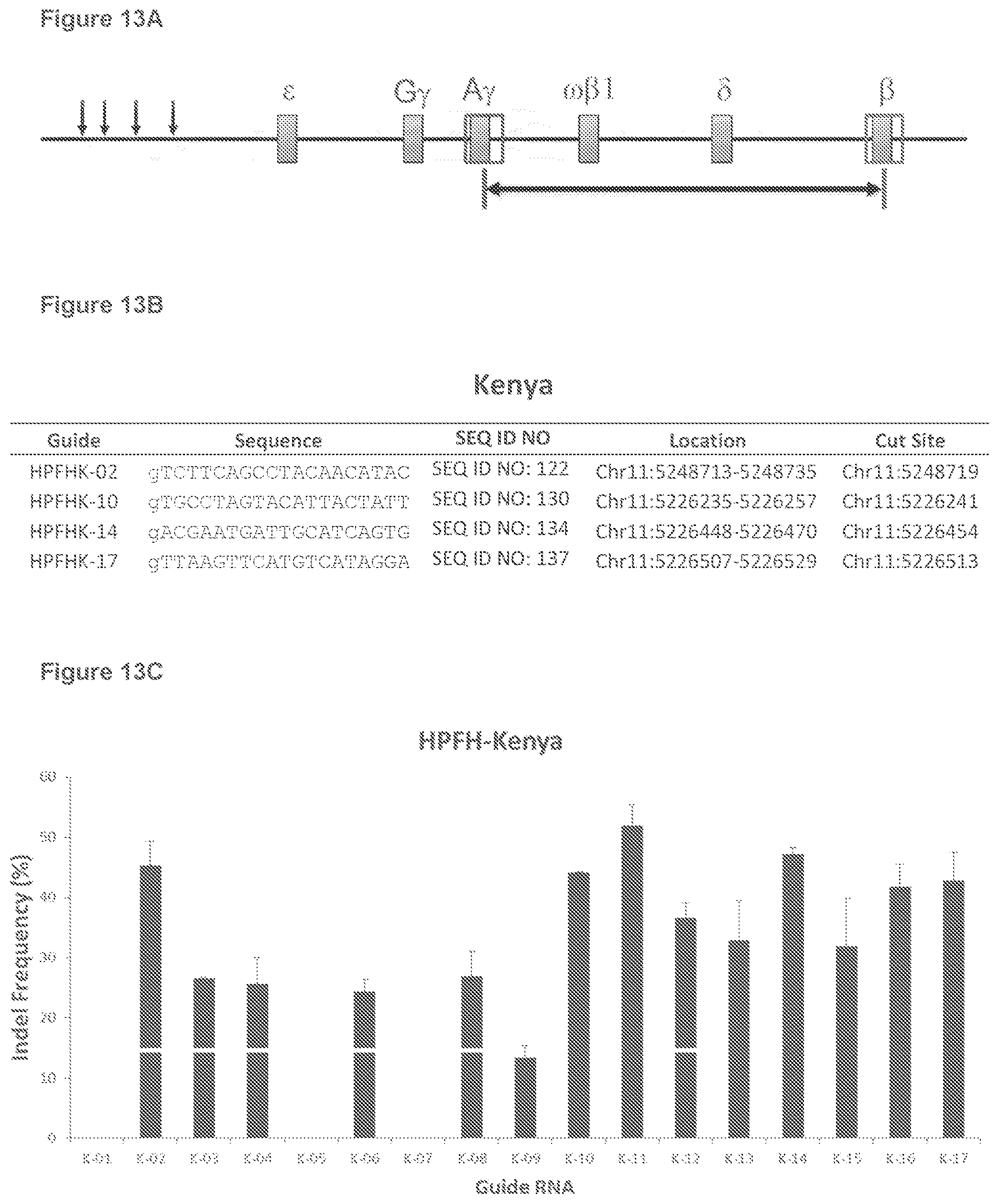 Patent US12134767 Figure 19 – Materials and methods for treatment of hemoglobinopathies