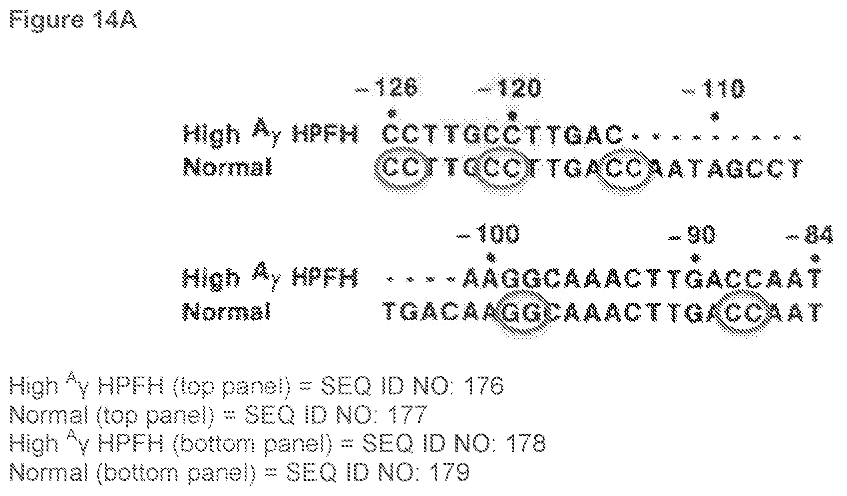 Patent US12134767 Figure 20 – Materials and methods for treatment of hemoglobinopathies